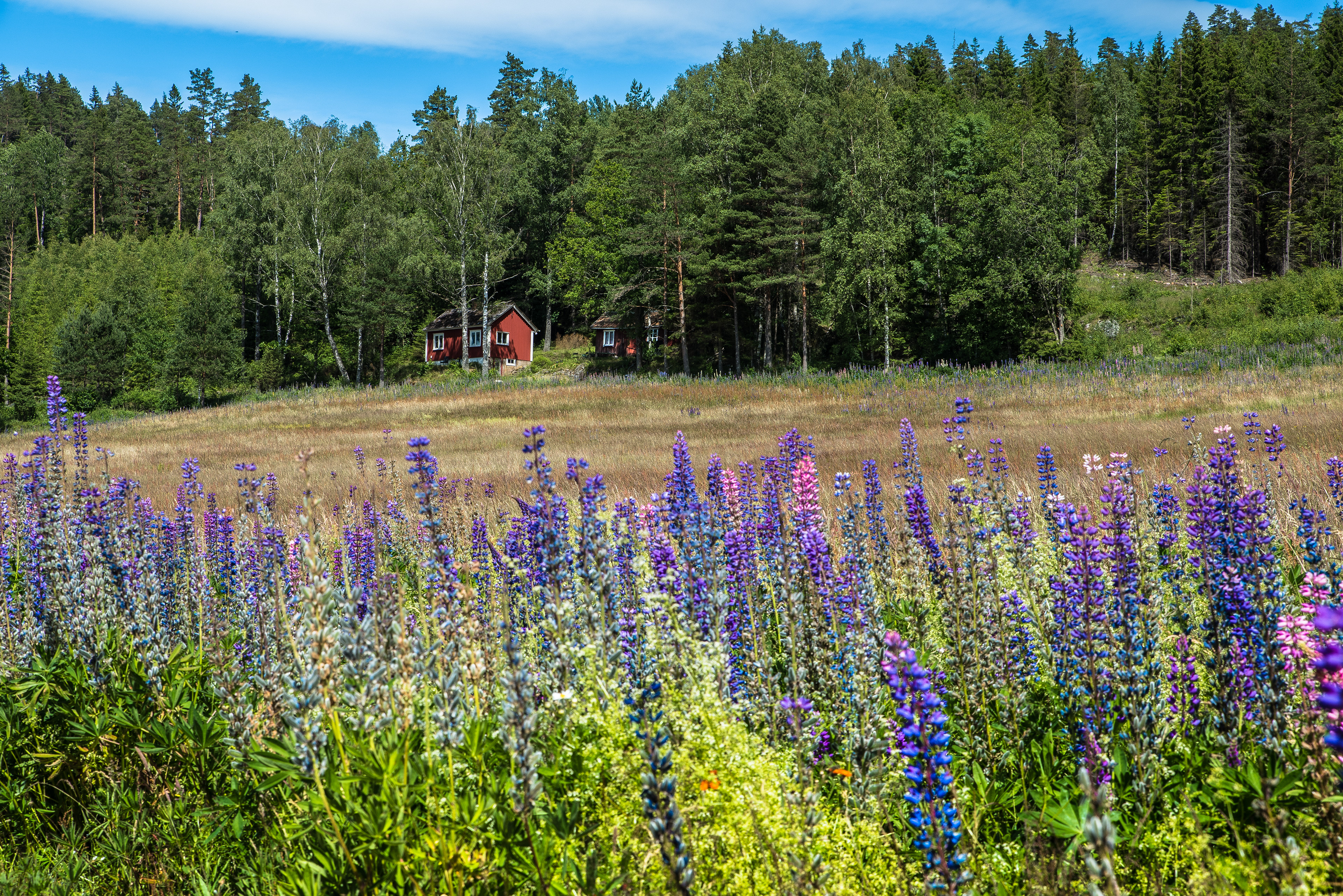 Schweden-Klischee