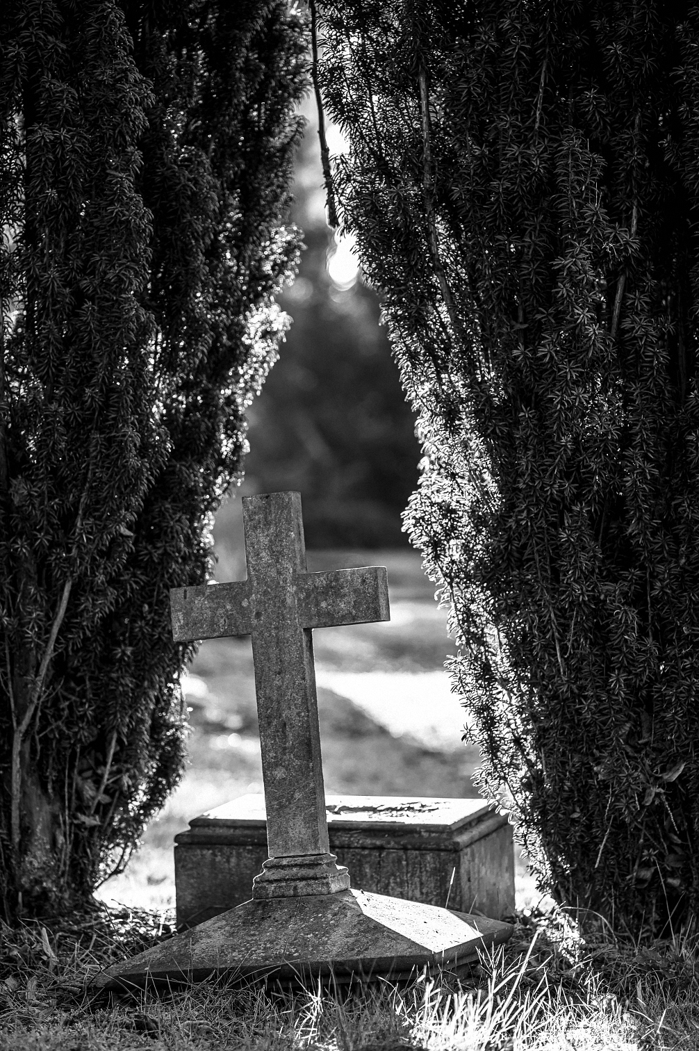 Impressionen vom Hasefriedhof (2)