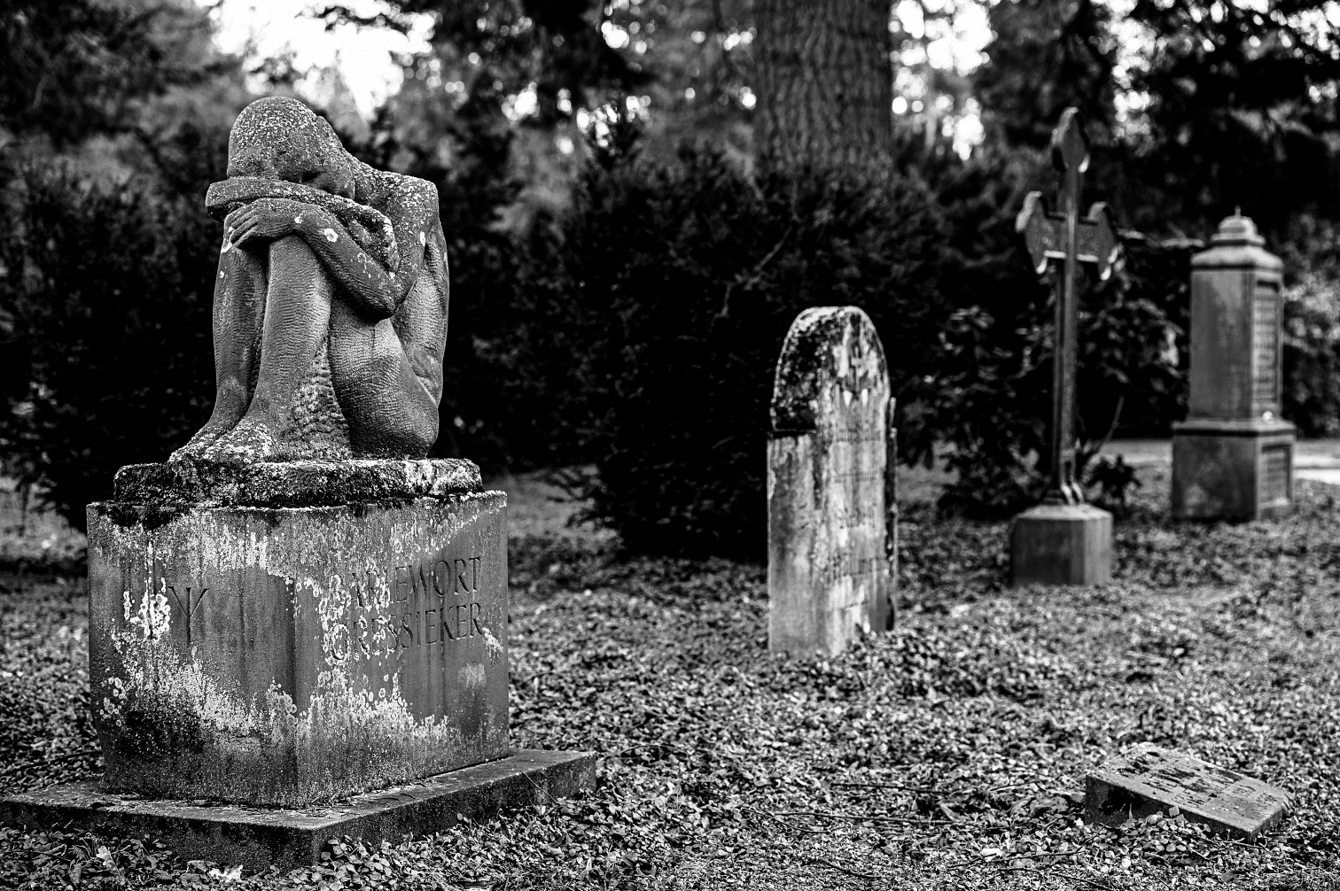 Impressionen vom Hasefriedhof (4)
