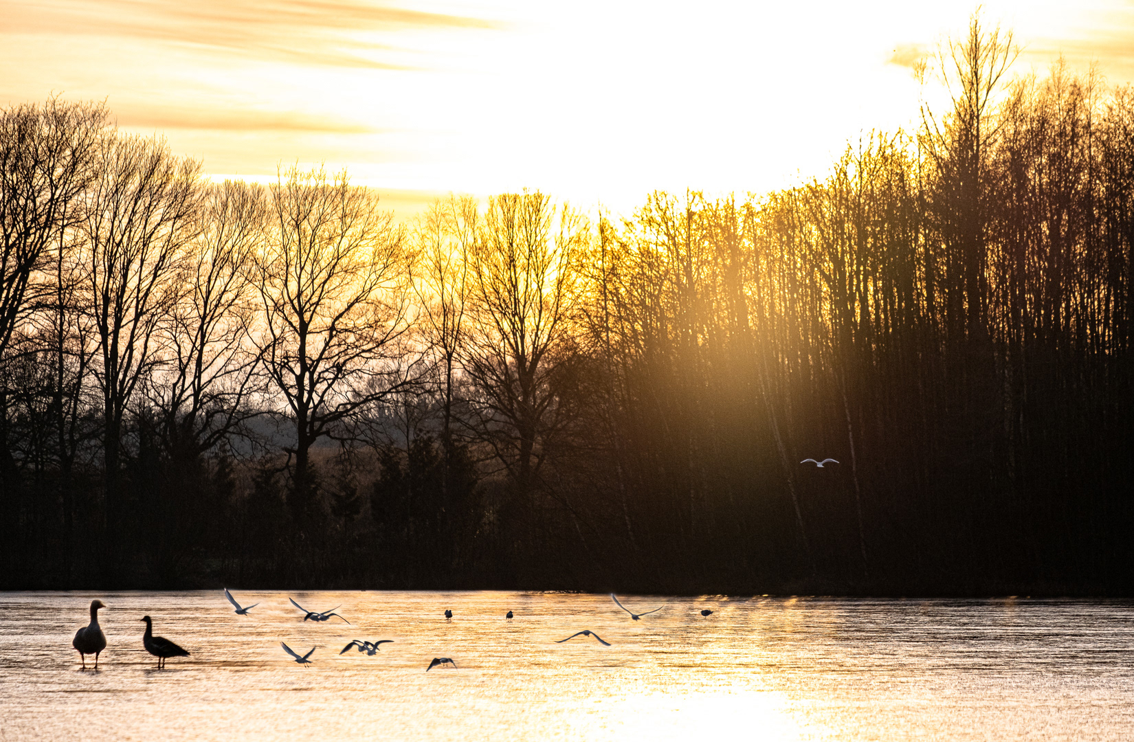 Winterliche Abendstimmung am Rubbenbruchsee