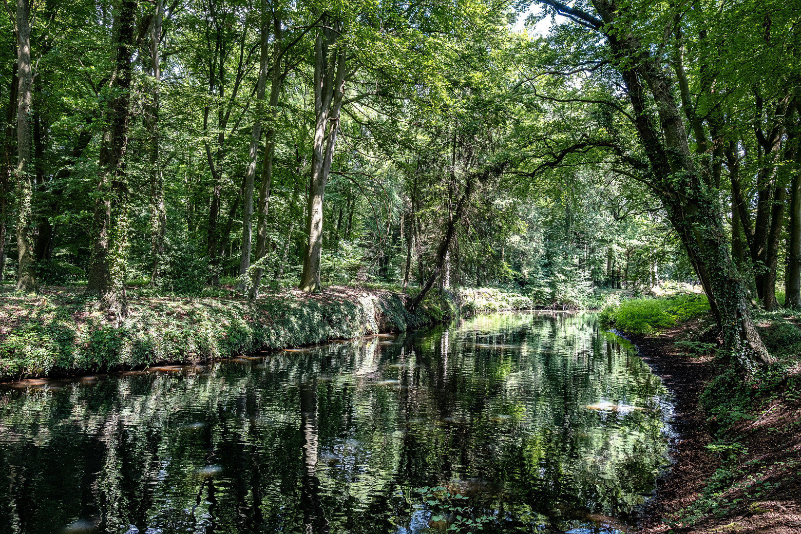 Im Hase-Urstromtal (4)