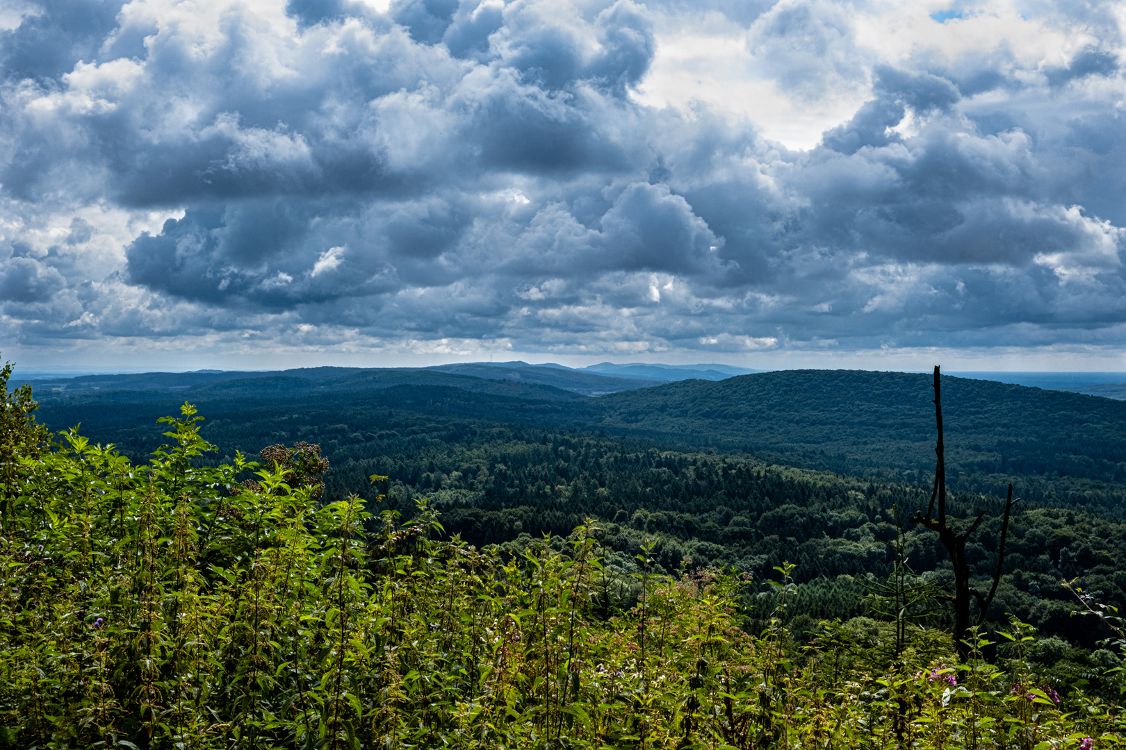 Teutoburger Wald (2)