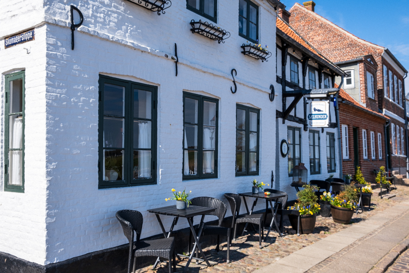 Ribe (4)