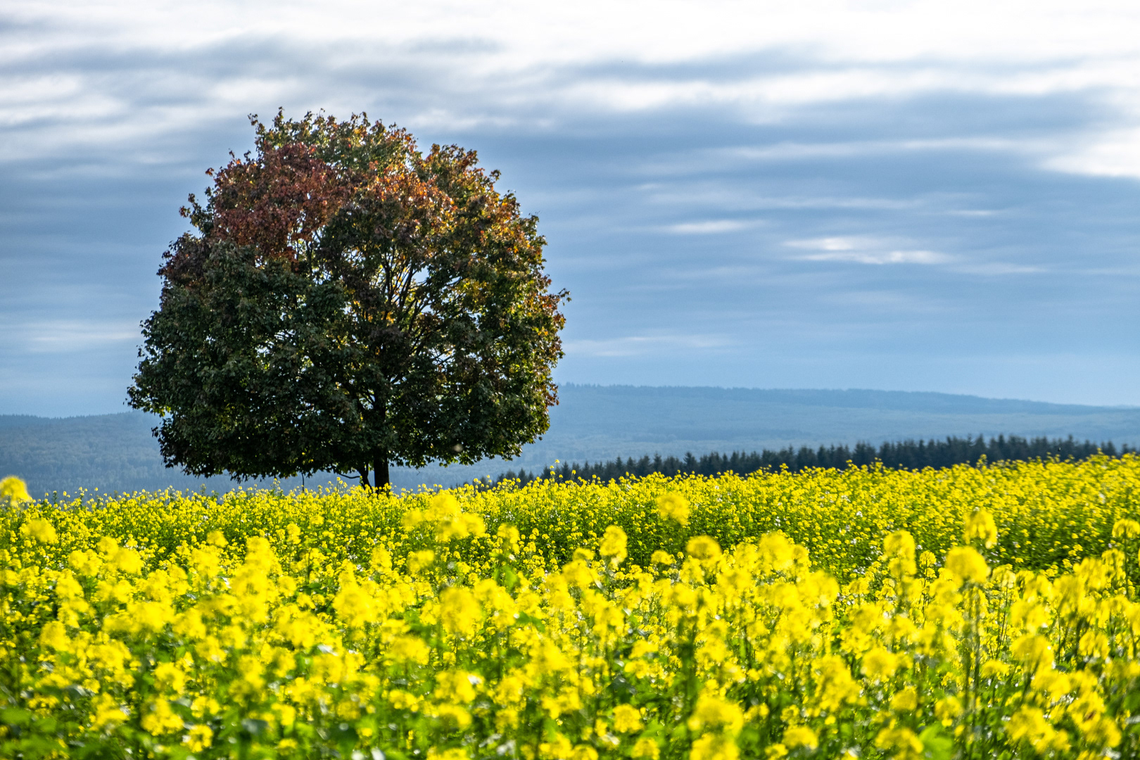Am Schillinger Panoramaweg