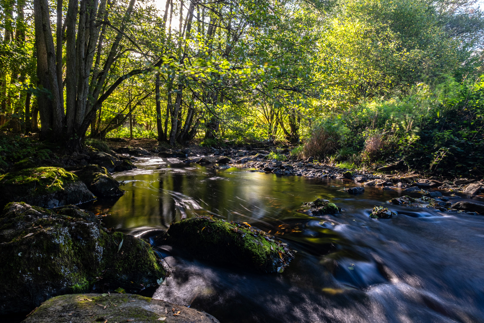 An der Ruwer