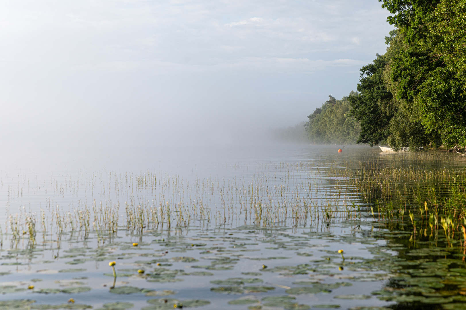 Nebel über dem Fiolen (4)