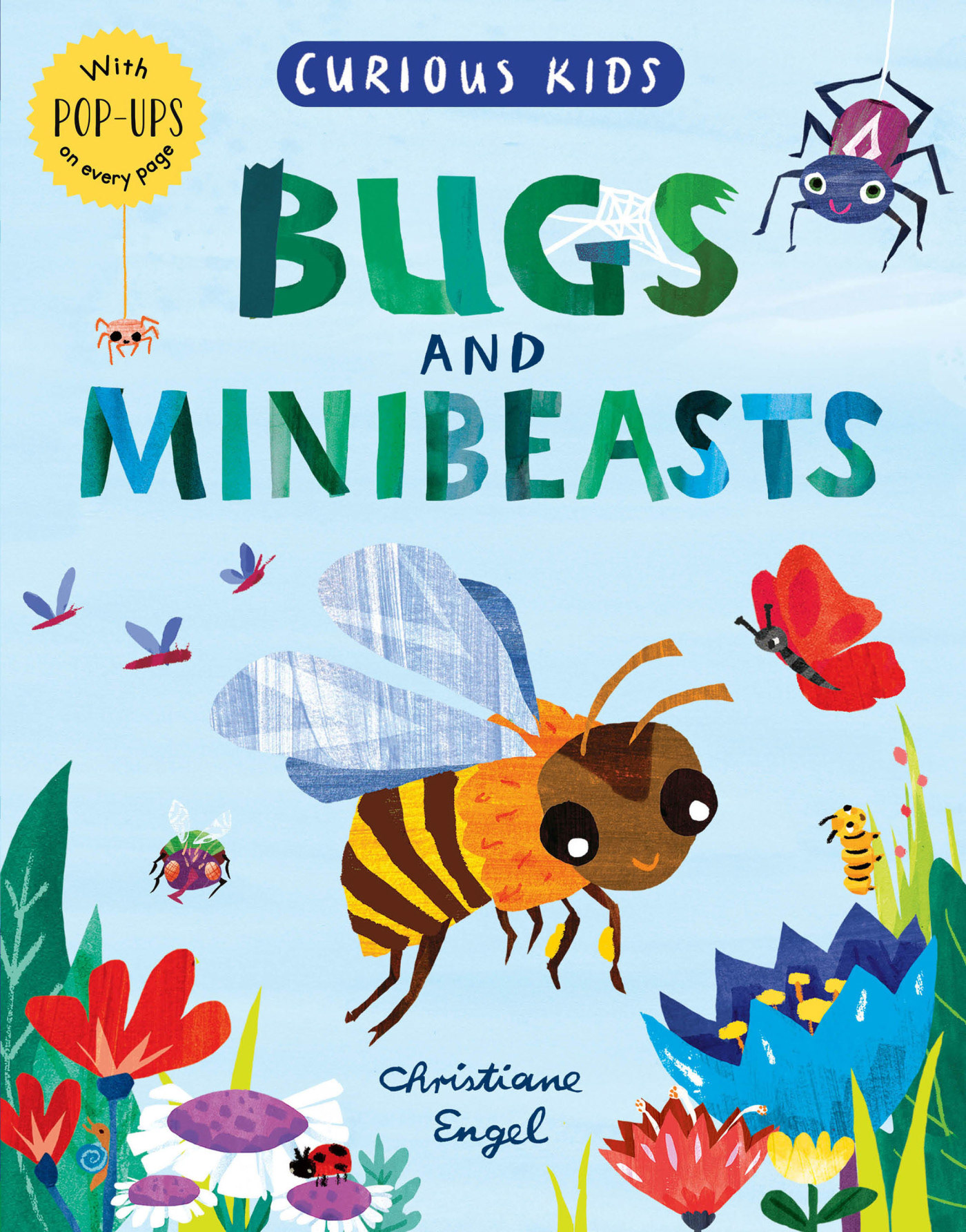 Bugs and Minibeasts / Explore the Meadow