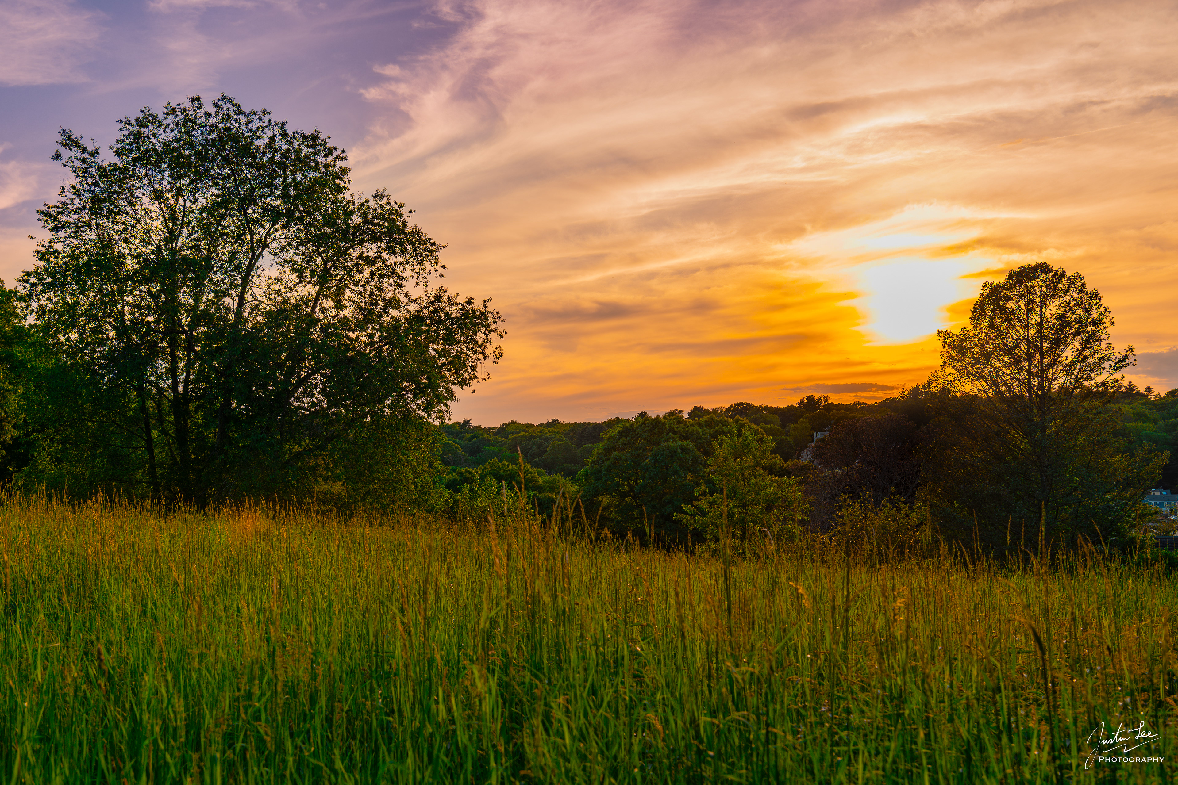 Lexington, MA - NIKON D780 + AF-S NIKKOR 24-70mm f/2.8E ED VR @ 42 mm, ISO 100, 1/200, f/9.0