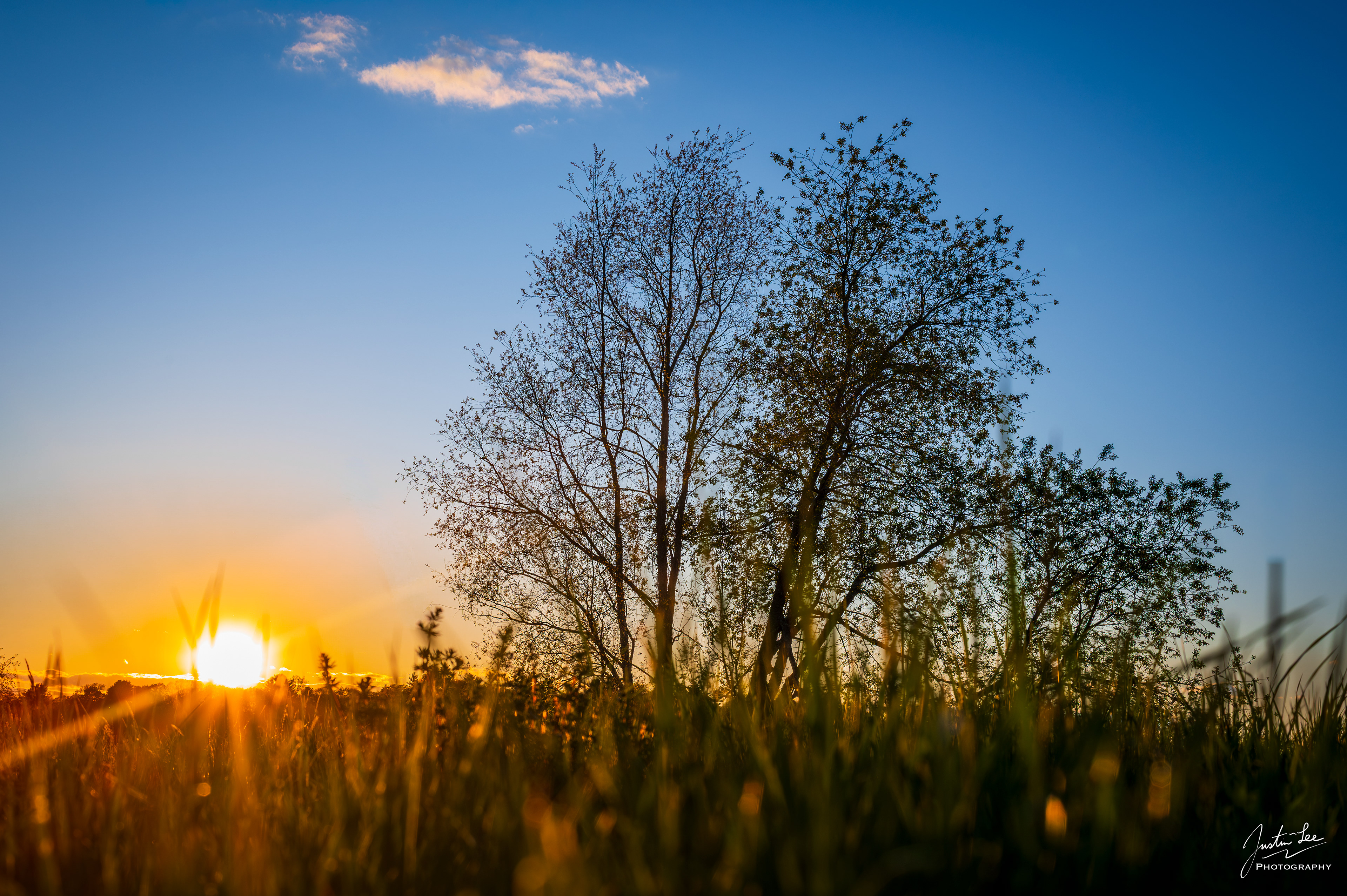 Lexington, MA - NIKON D780 + AF-S NIKKOR 50mm f/1.8 G @ 50 mm, ISO 100, 1/250, f/8.0