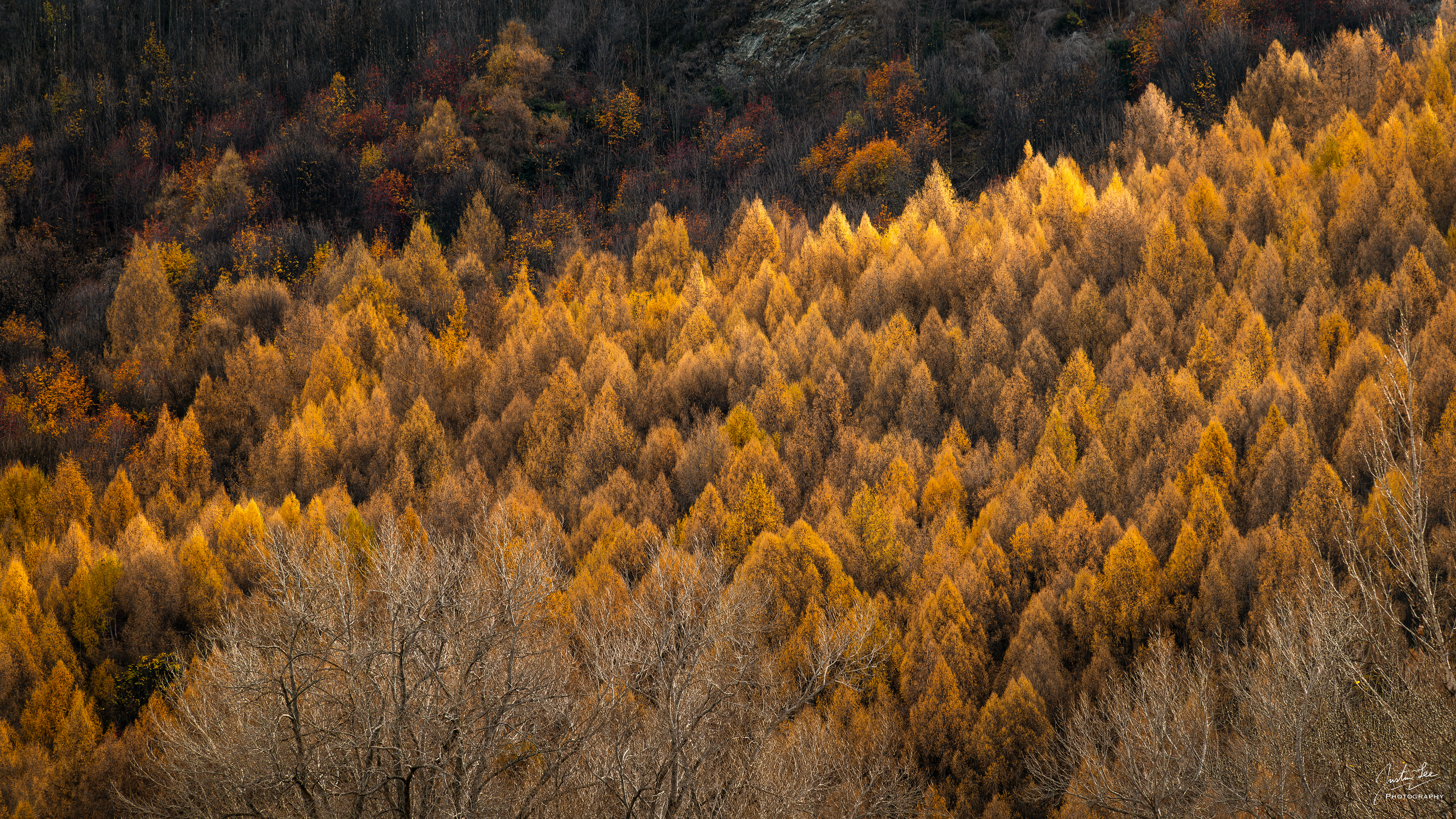 Arrowtown - NIKON D780 + AF-S NIKKOR 24-120mm f/4G ED VR @ 120 mm, ISO 250, 1/200 s, f/8.0