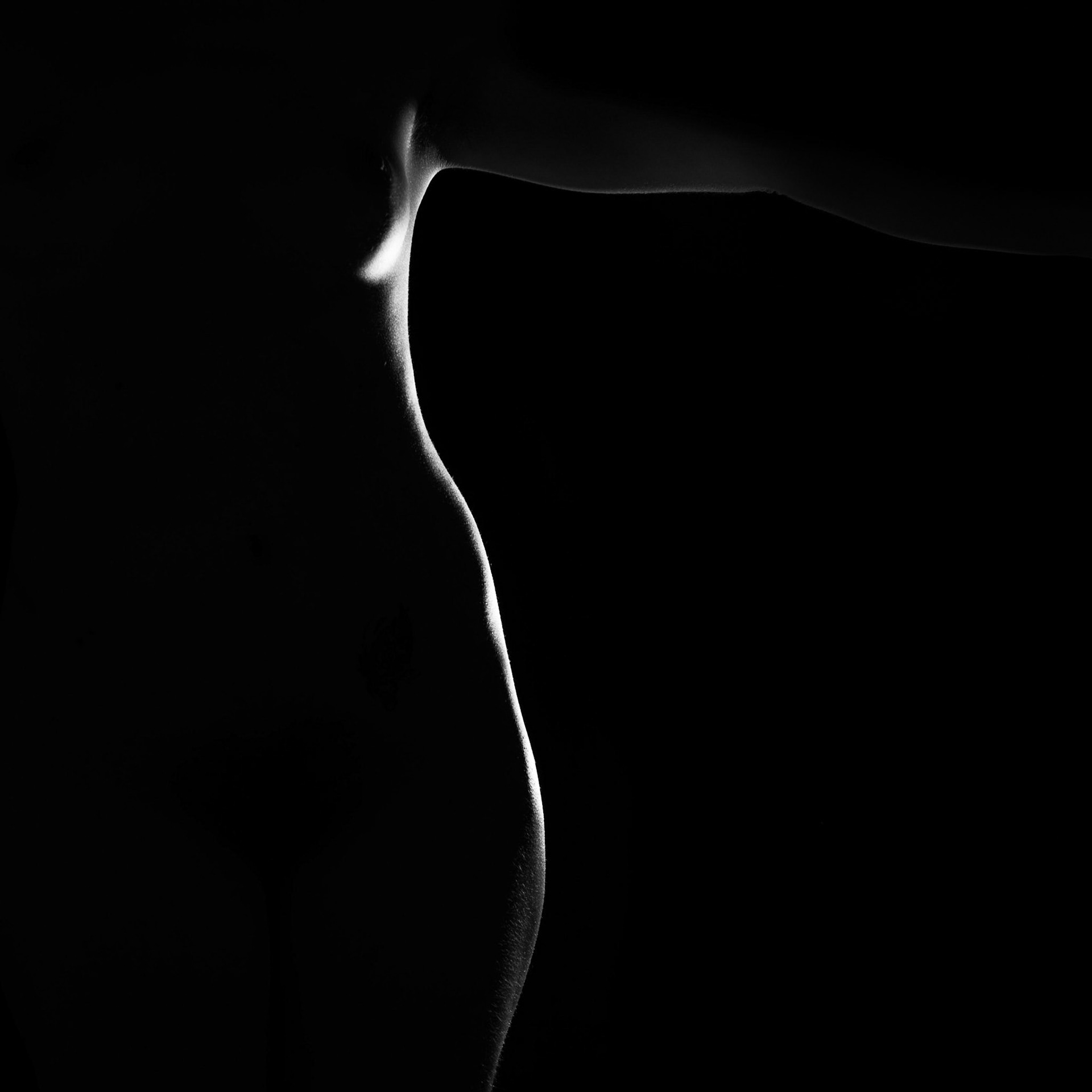 The Mystery of Curves