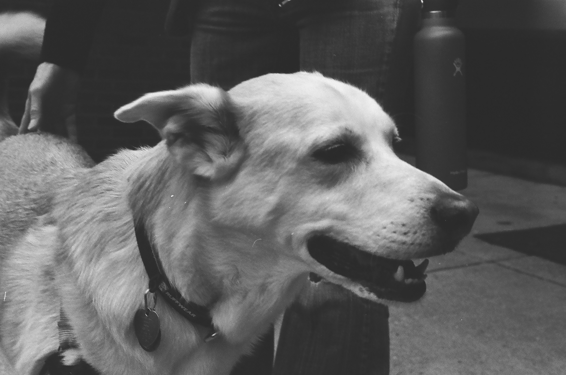 Tri-X 400 Kodak, October 9th 2025