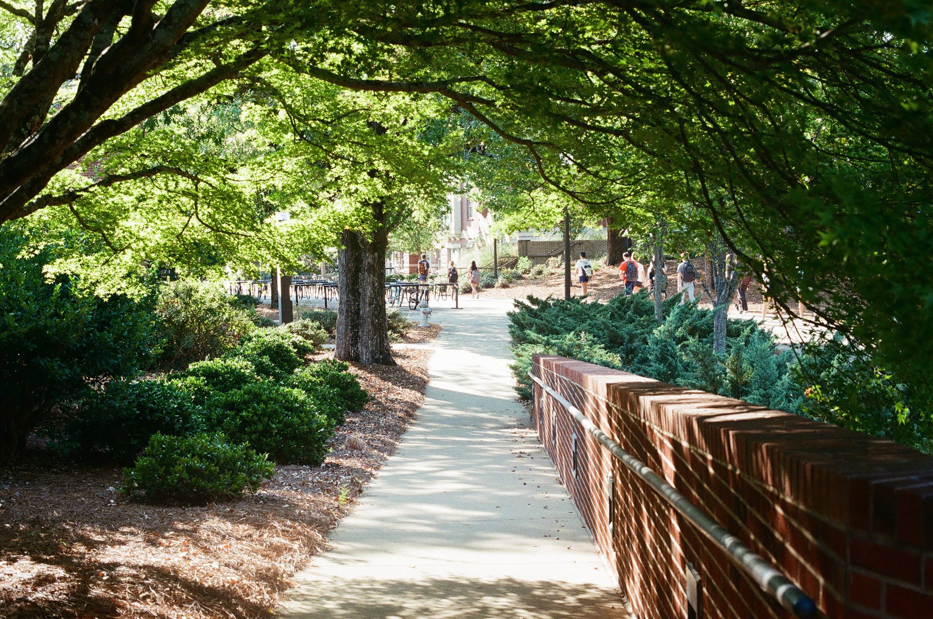 Fuji 400, September 14 2025