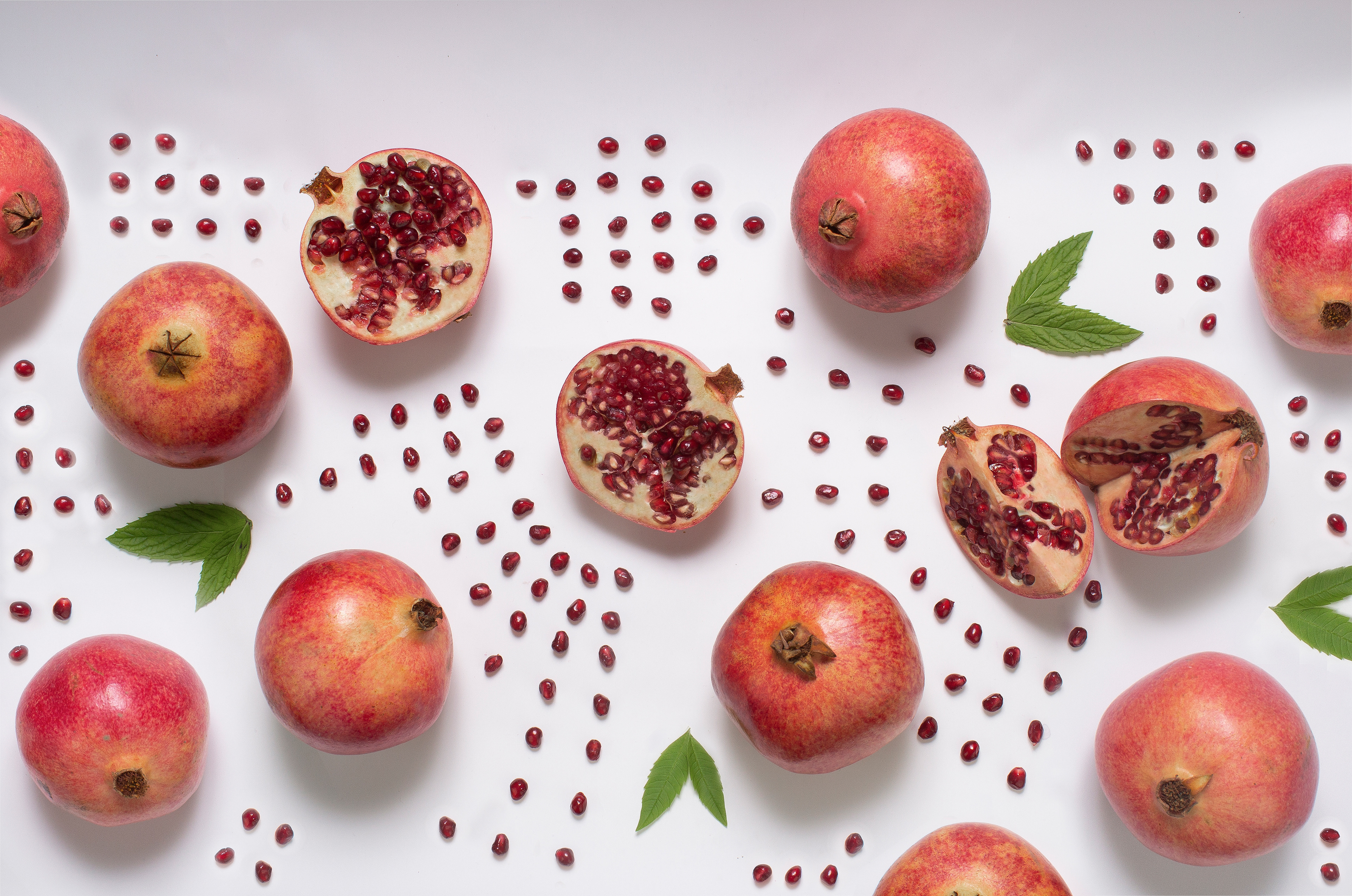 Client: Novus Recruitment