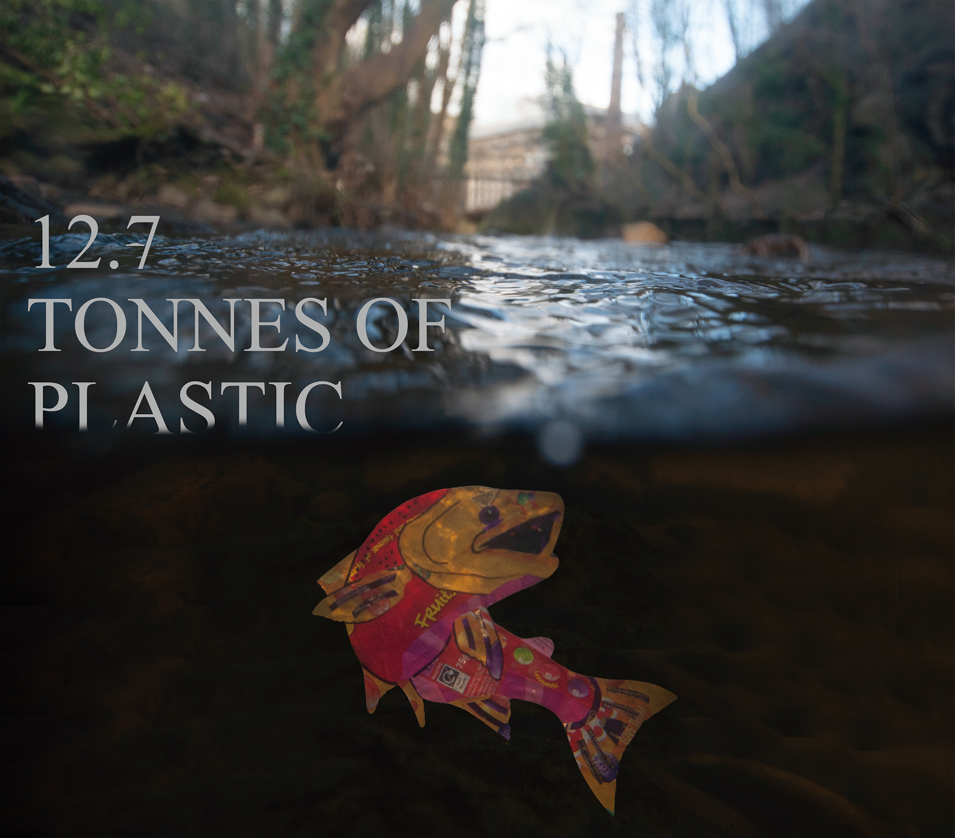 Plastic pollution project - 2021