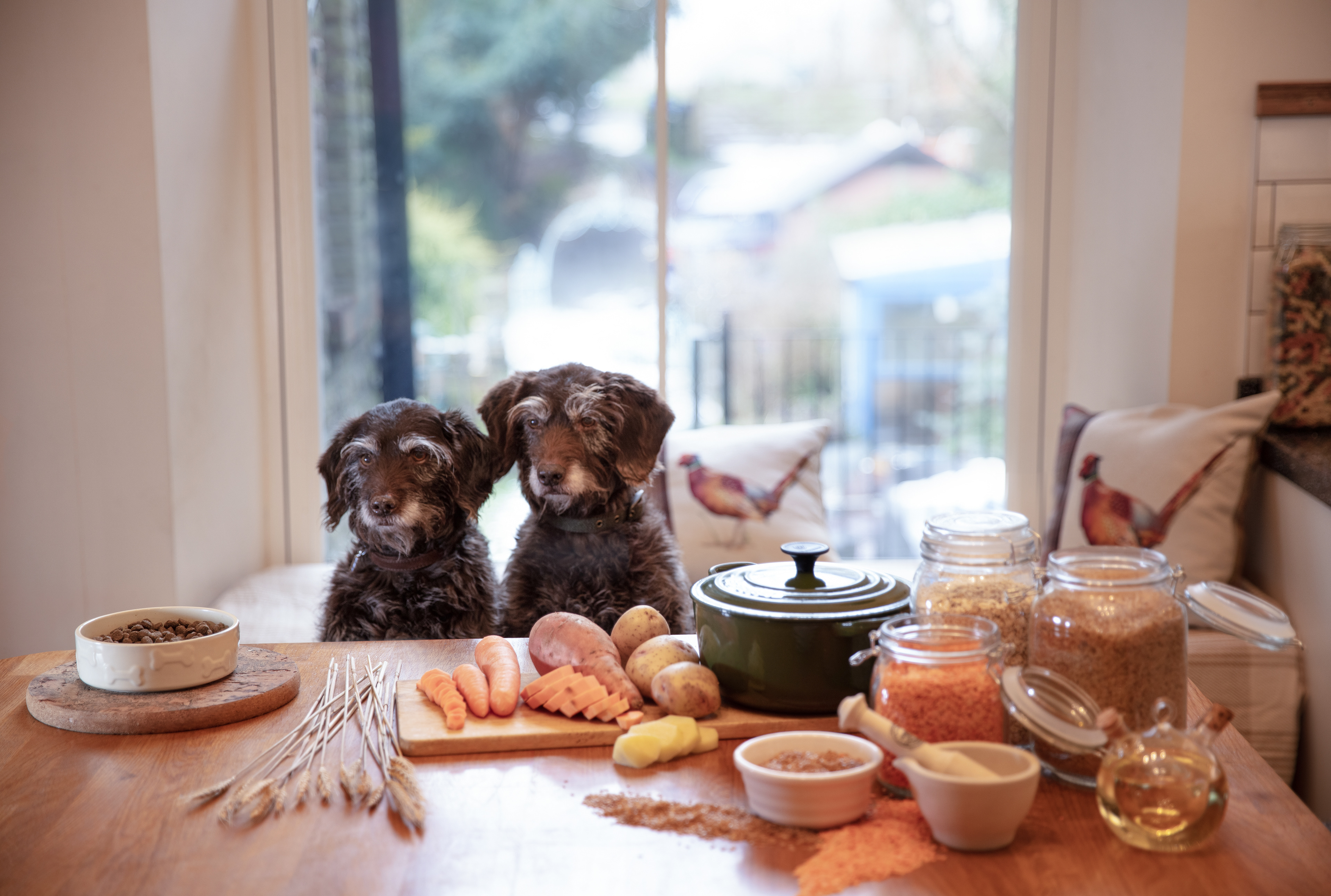 Client: Pets At Home