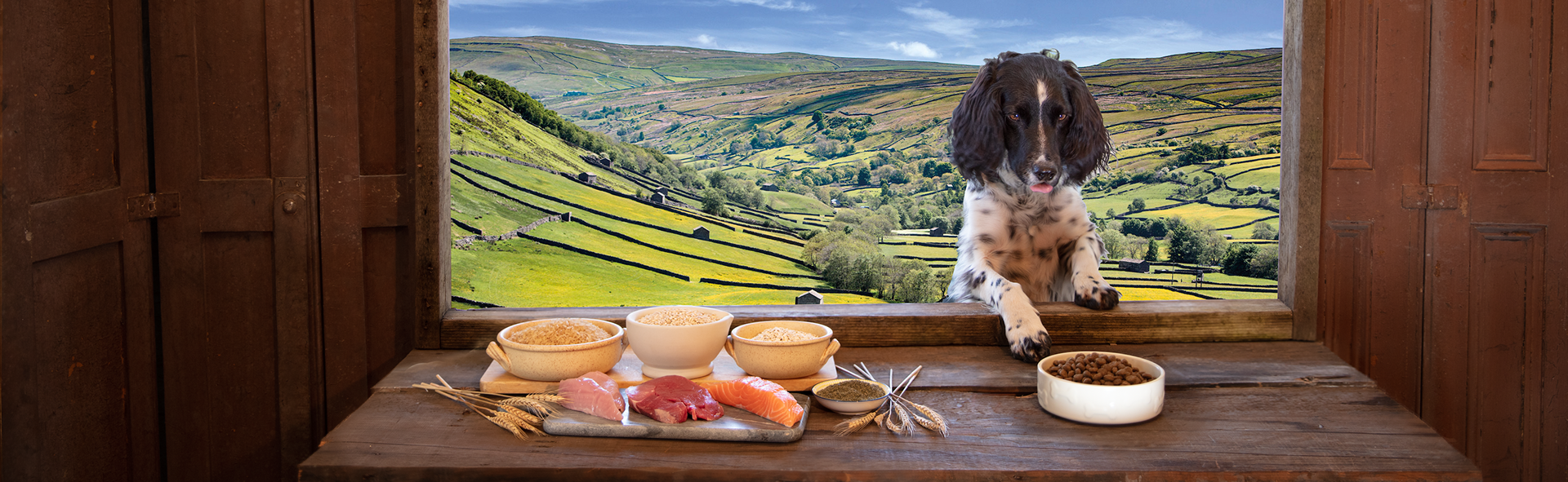 Client: Pets At Home