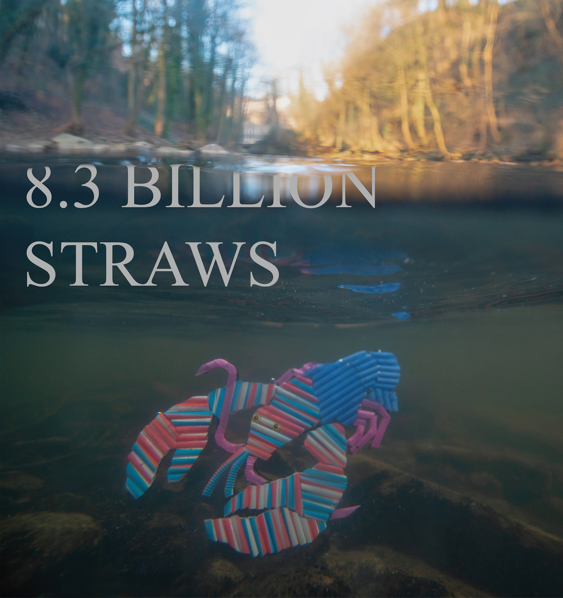 Plastic pollution project - 2021