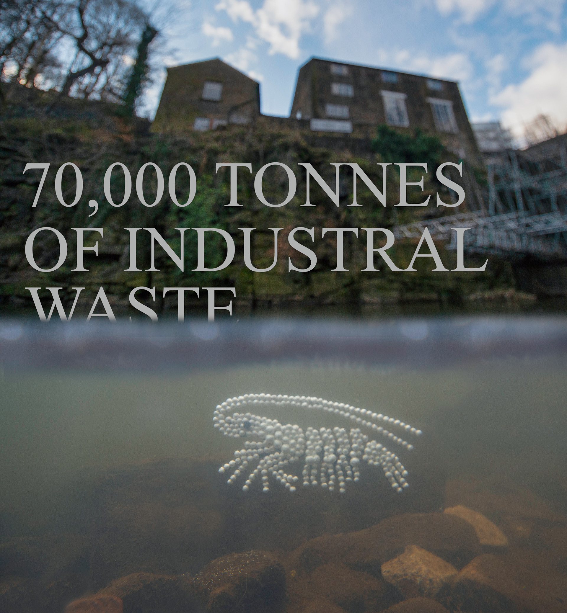 Plastic pollution project - 2021