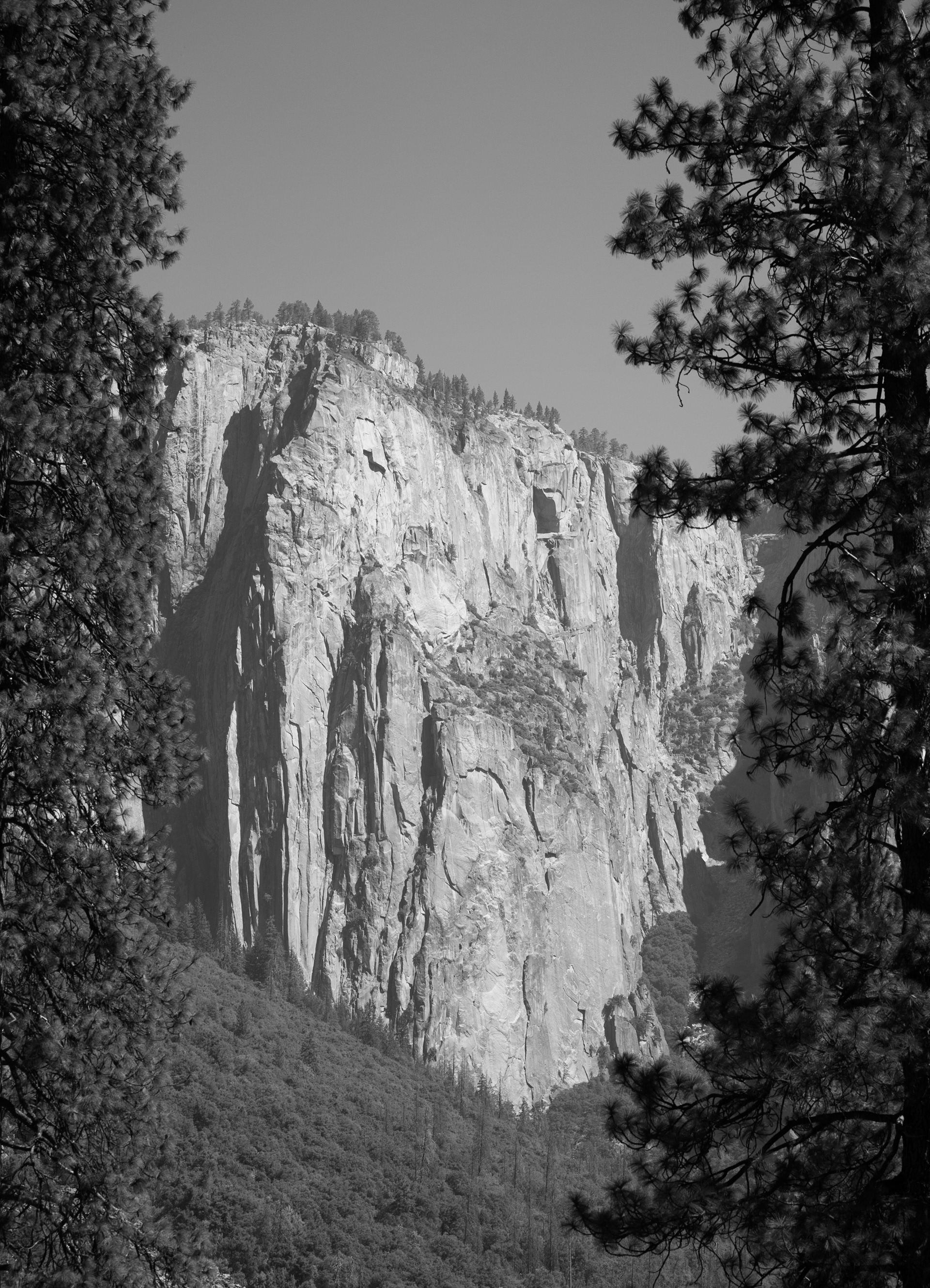El Capitan - California - USA