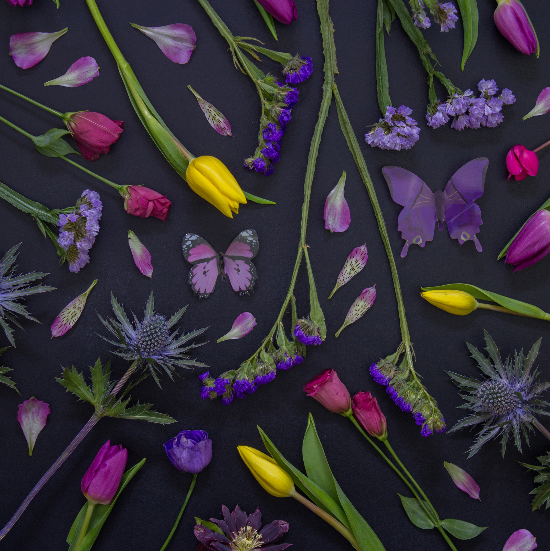 Studio - Real Life Wallpaper