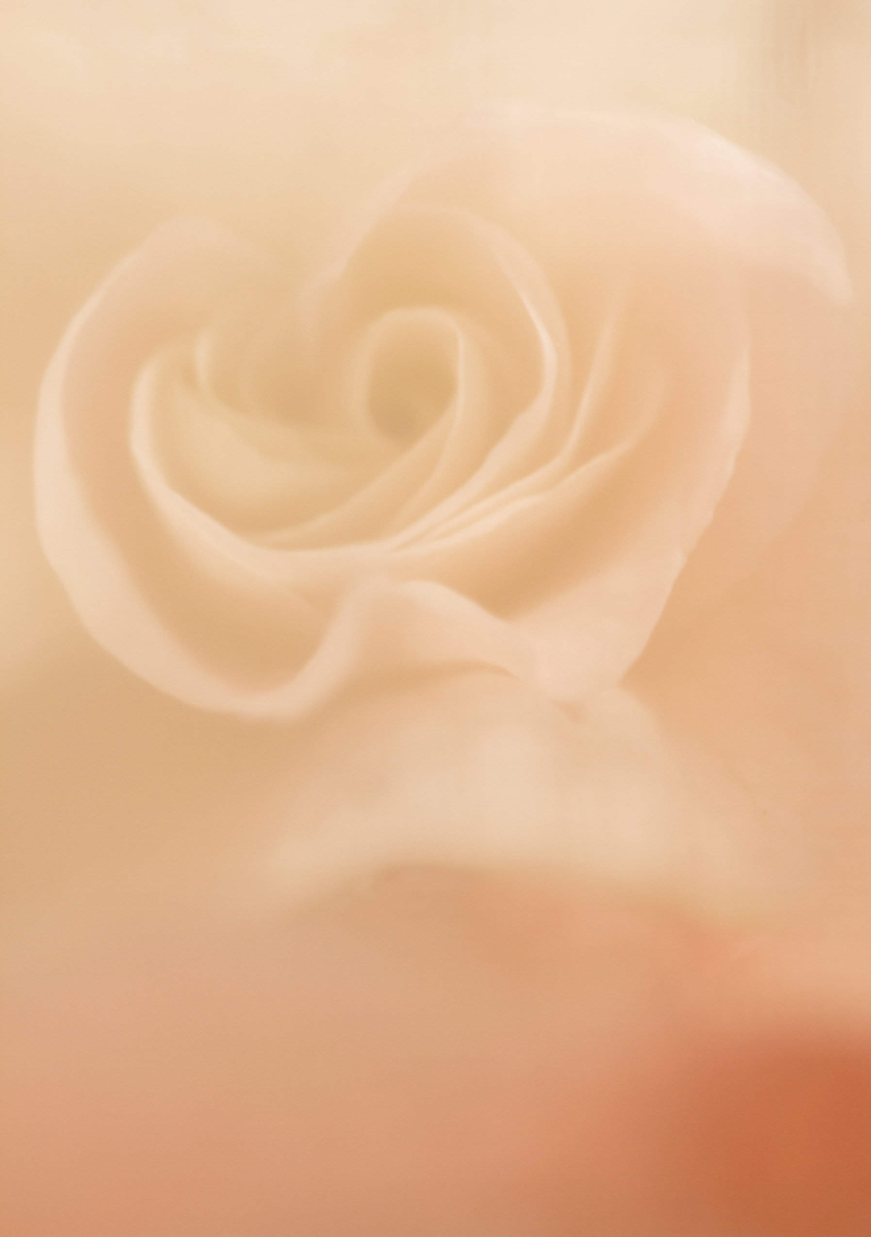 Imaginae 9