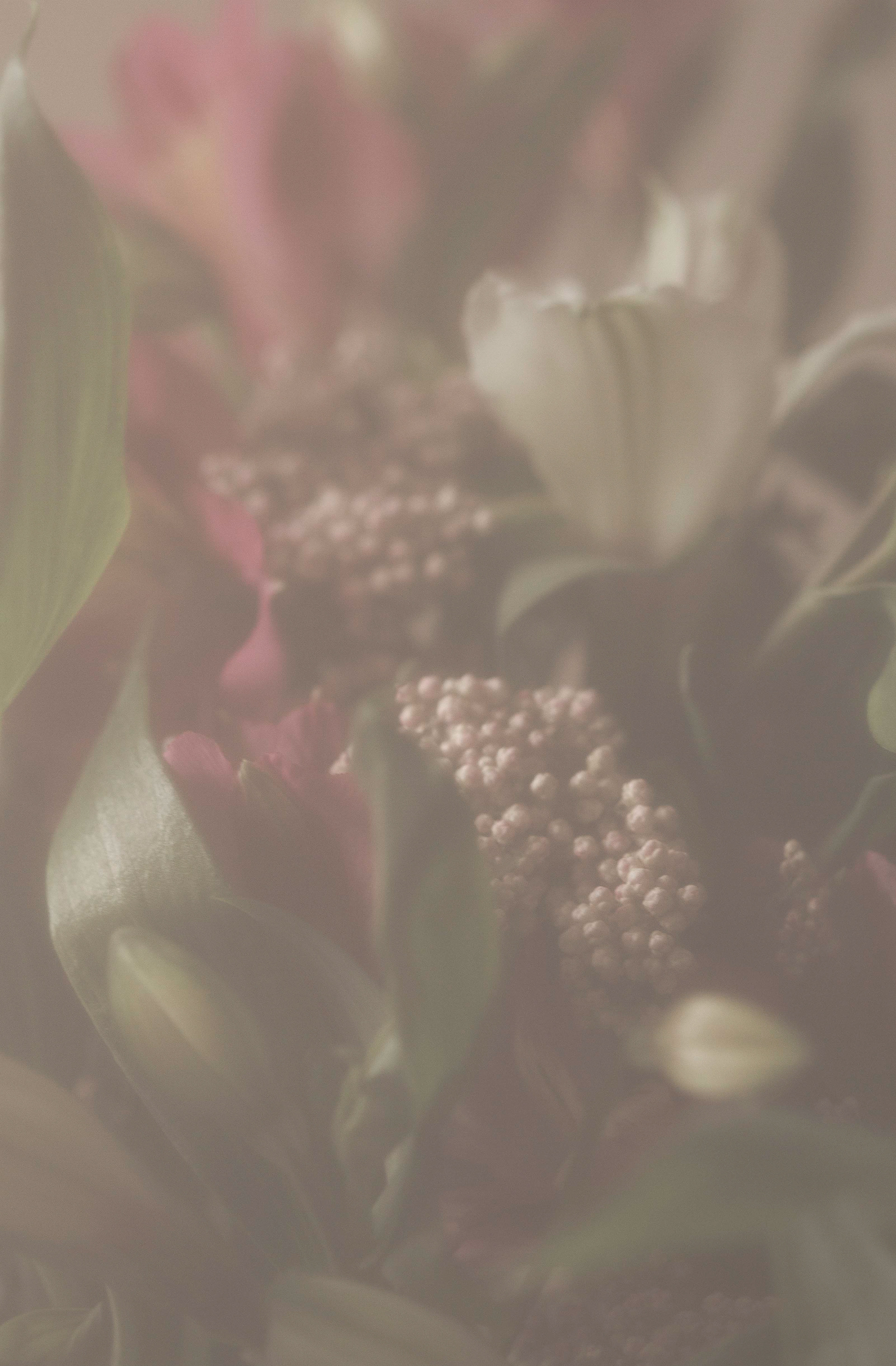 Imaginae 32