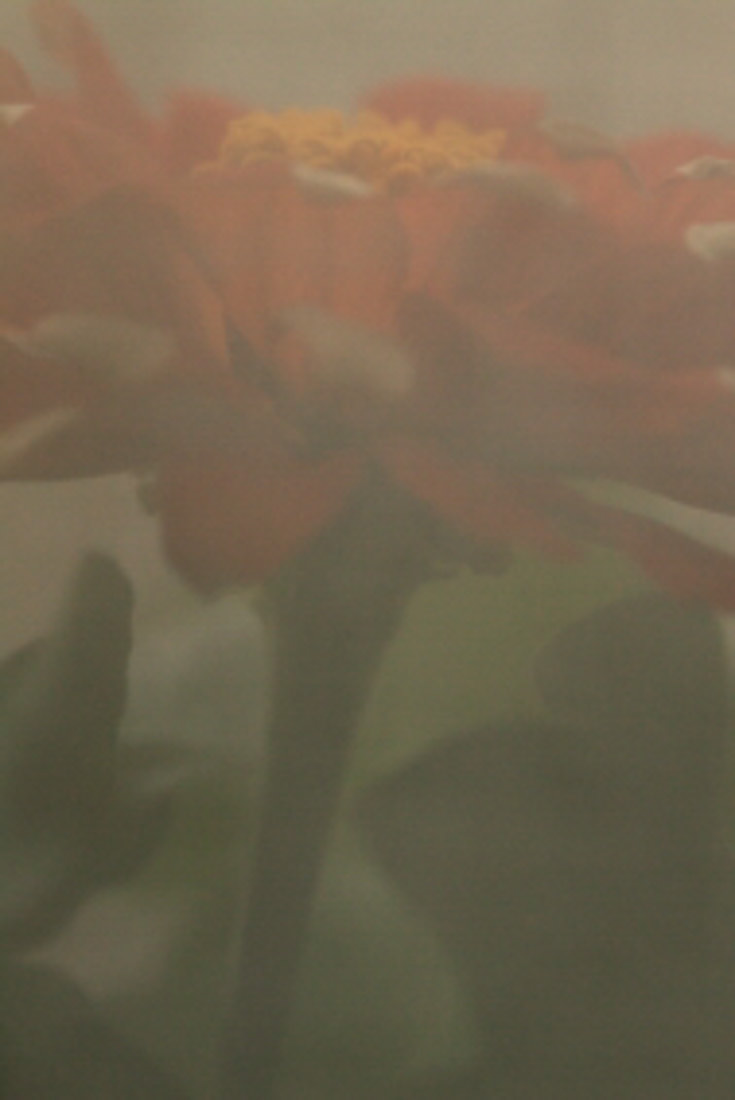 Imaginae 57