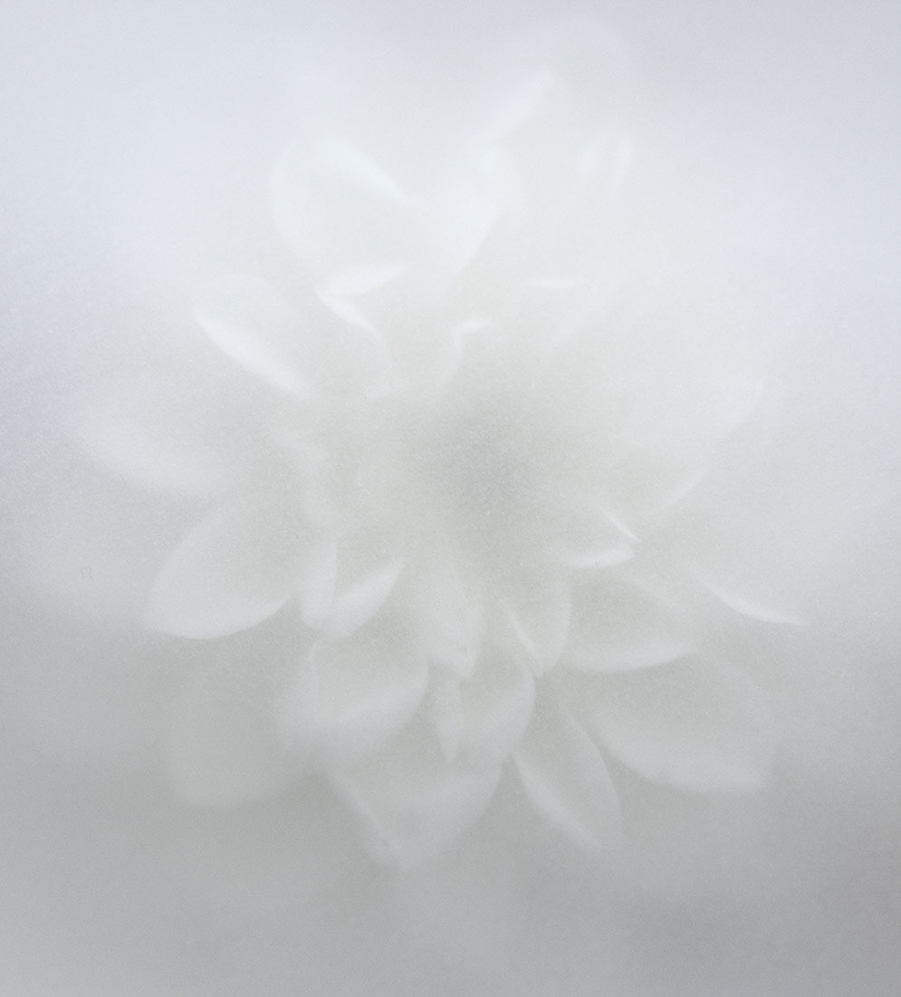 Imaginae 1