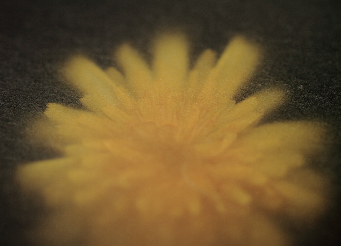 Imaginae 61