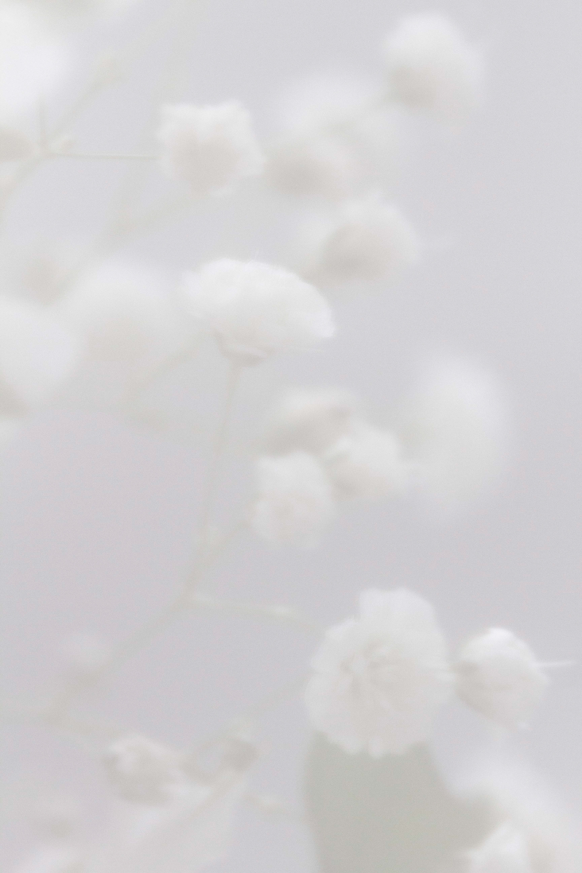 Imaginae 2