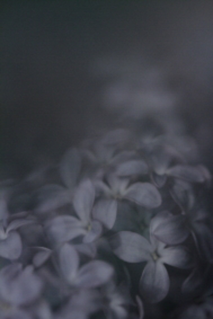 Imaginae 23