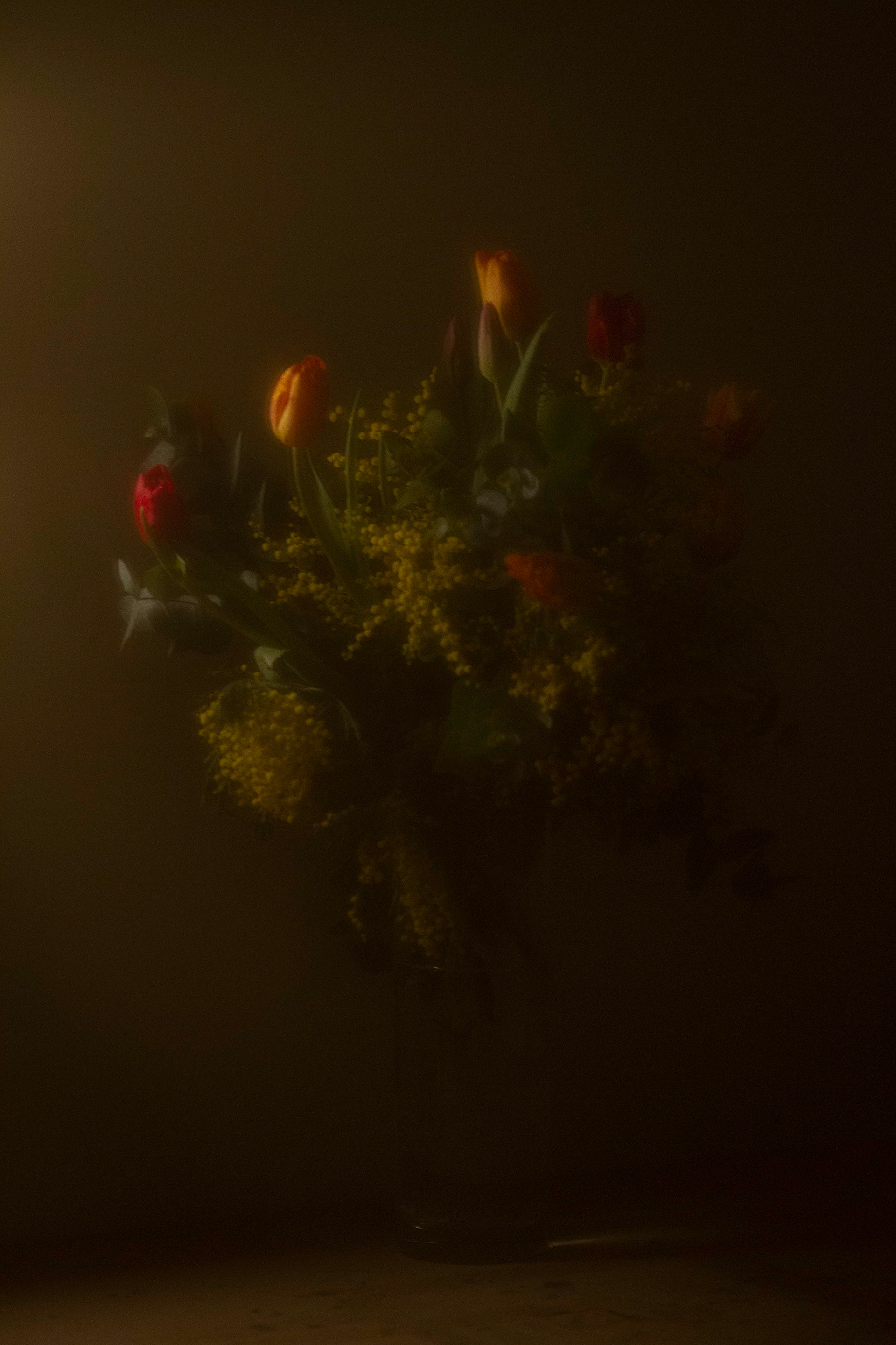 Imaginae 75