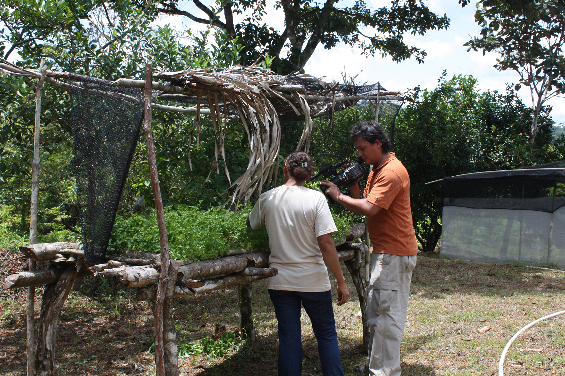 Consultoría en Documentación de proyectos, JICA