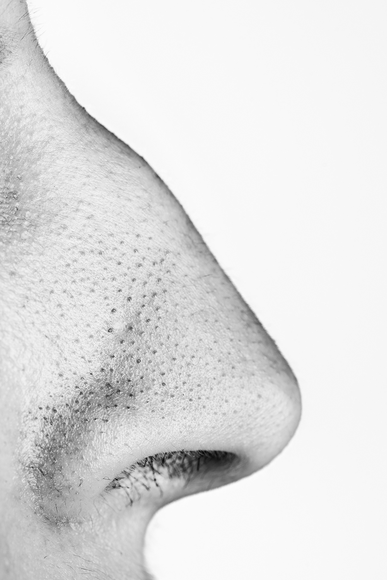Mon nez me fait penser à un nez crochu de sorcière.