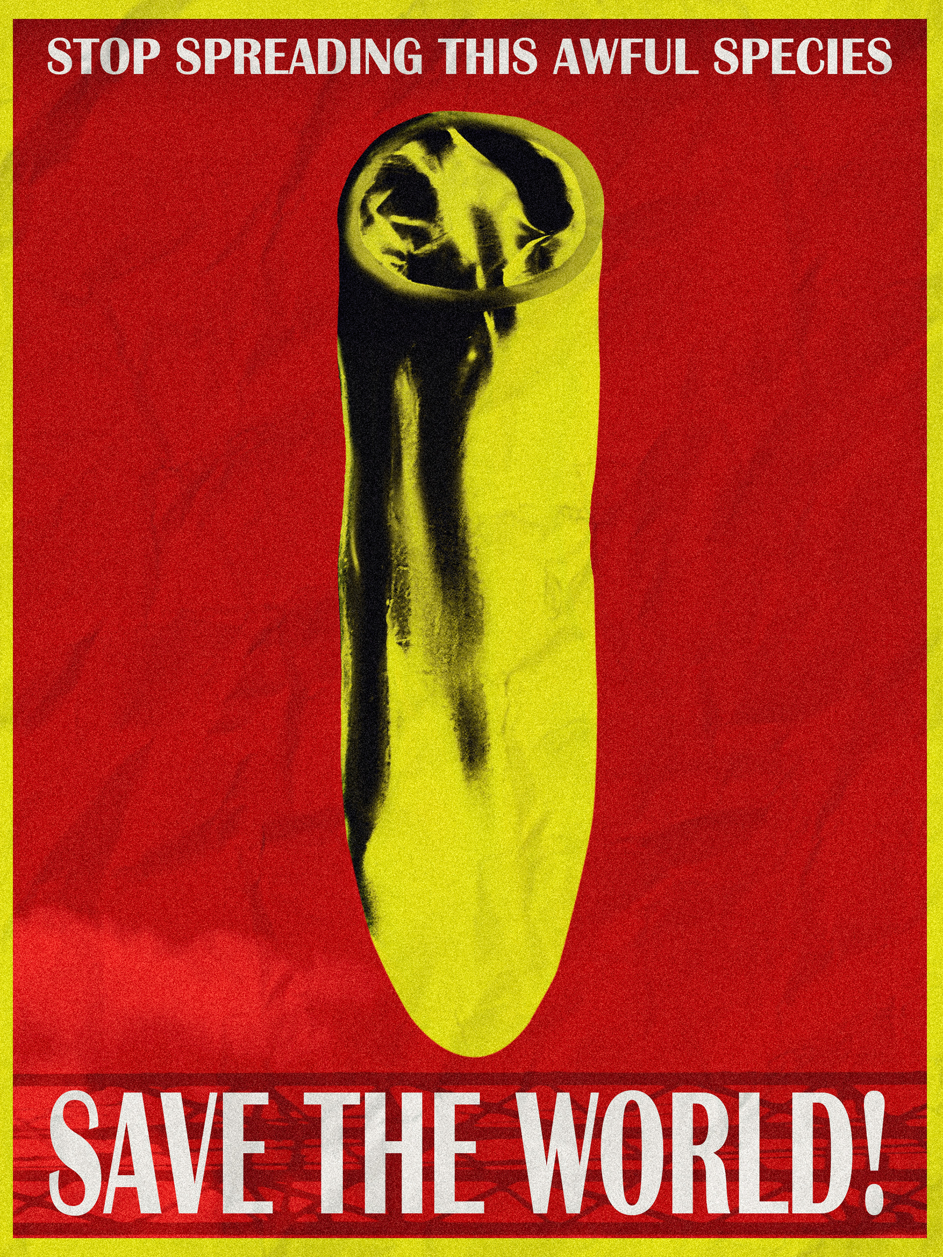 MY REVOLUTION