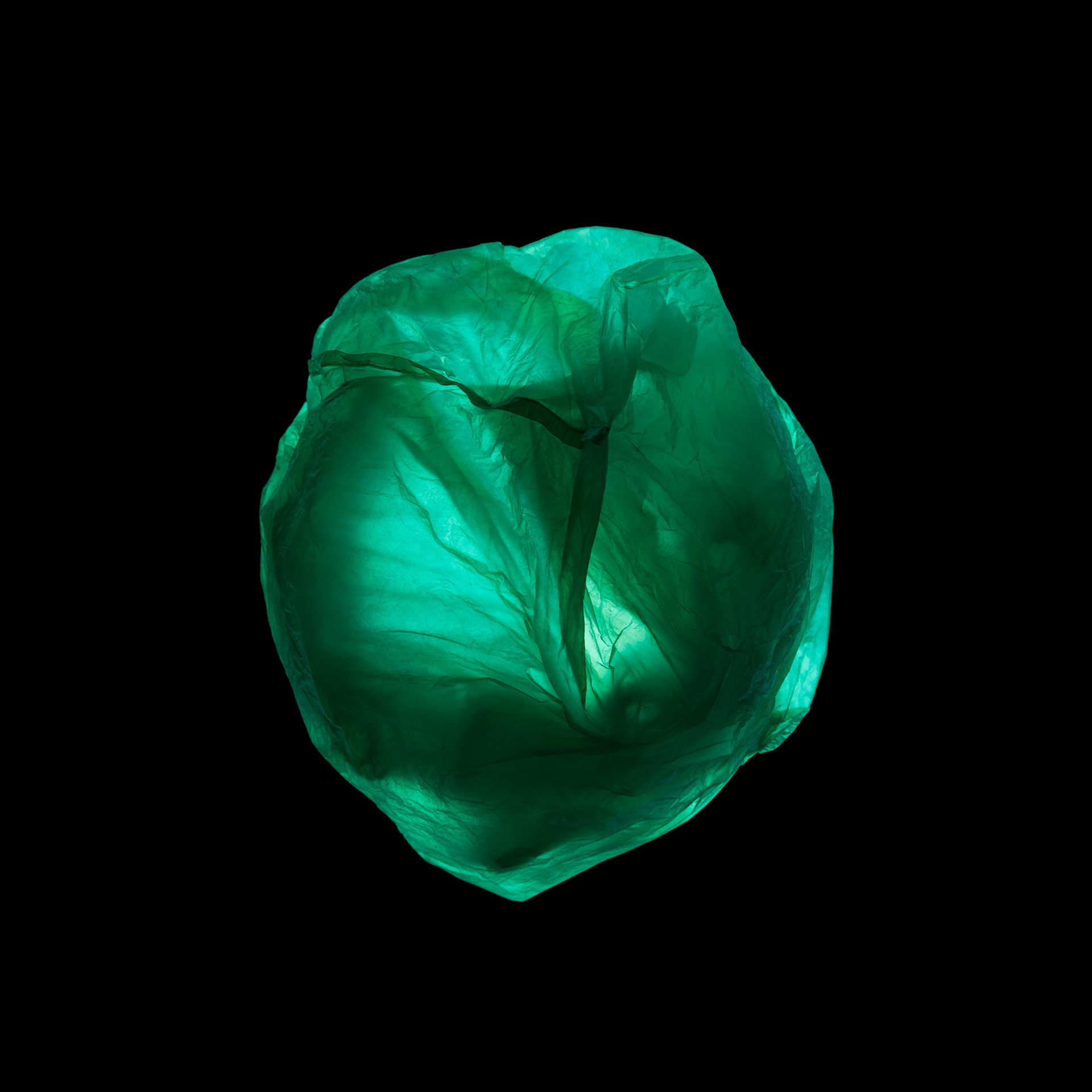 TIEFSEE WESEN III, Peter Lebeda, 2018