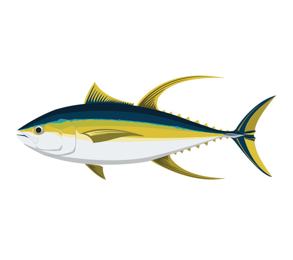Tuna Fishing Logo Sword Fish Saltwater Ocean Deep Sea Sport Game Rod Reel  Yellowfin Bluefin Albacore Boat SVG PNG Clipart Vector Cut Cutting -   Hong Kong