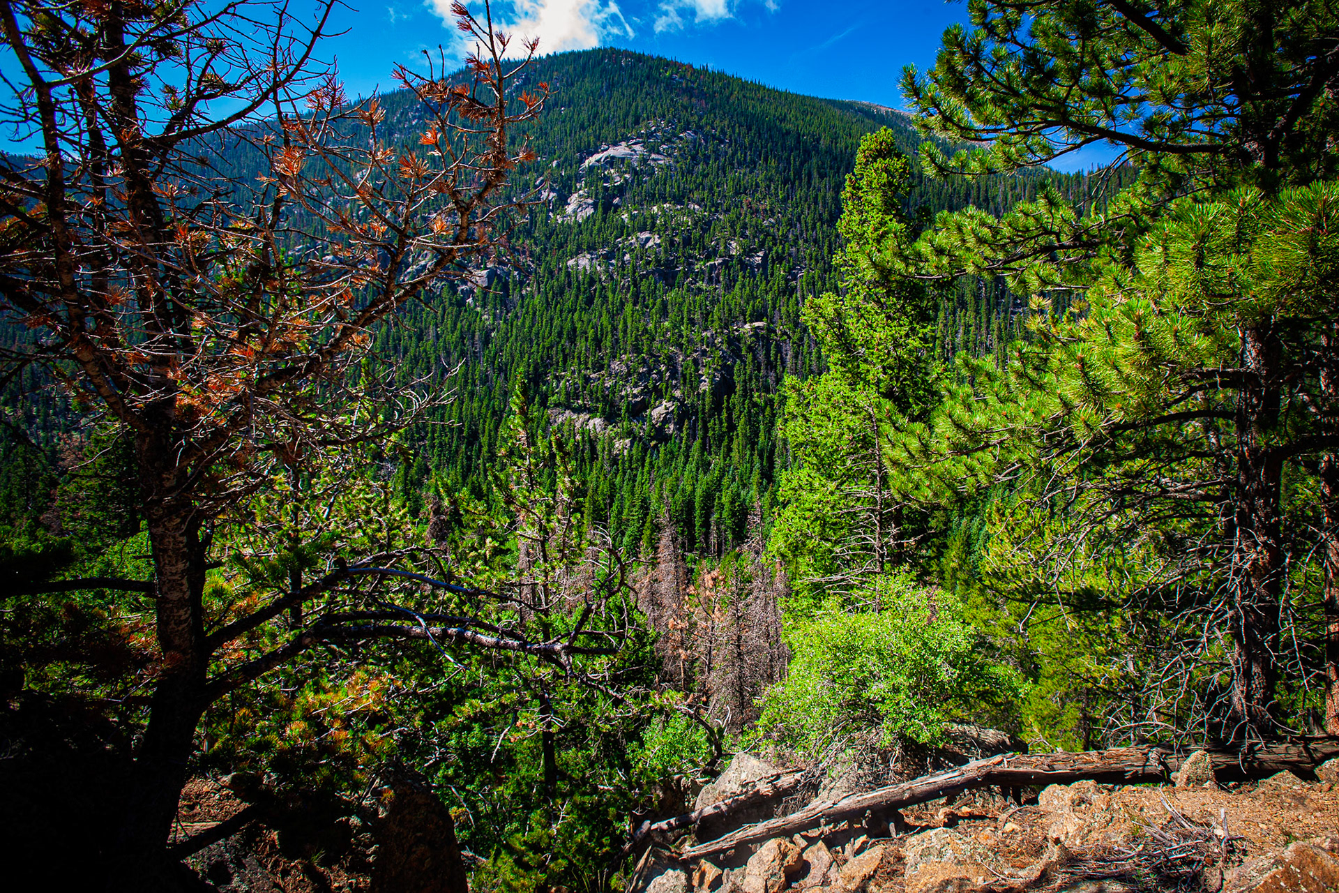 USA - Colorado - Rocky Mountains
