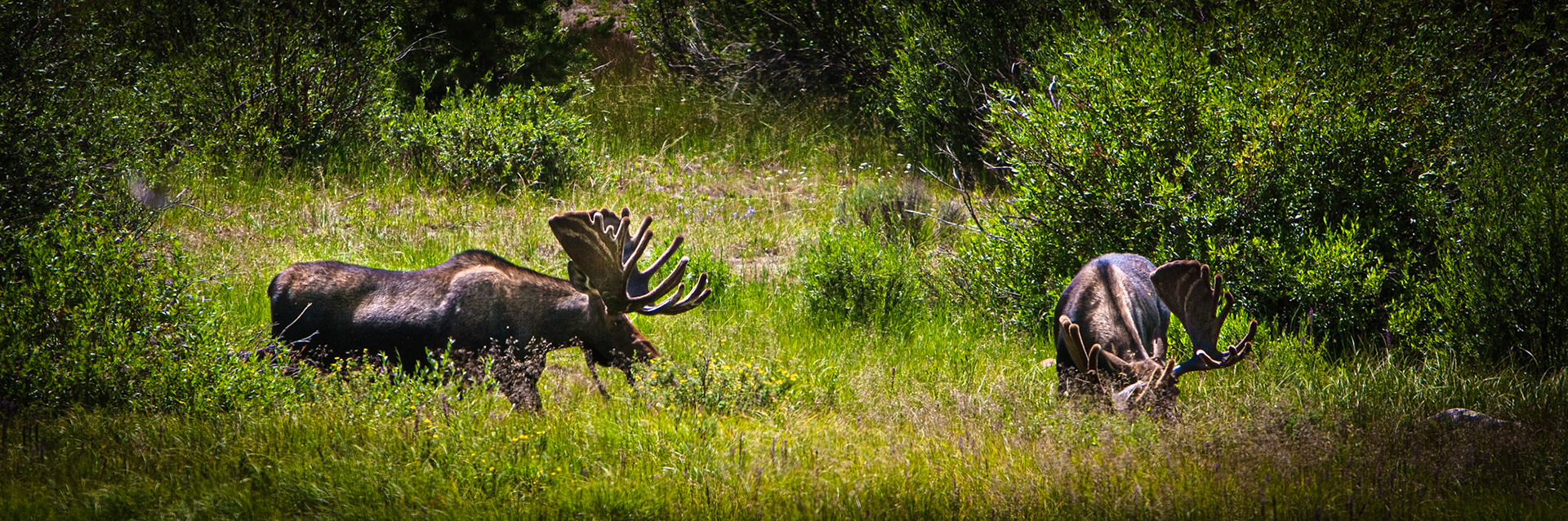 USA - Colorado - Rocky Mountains