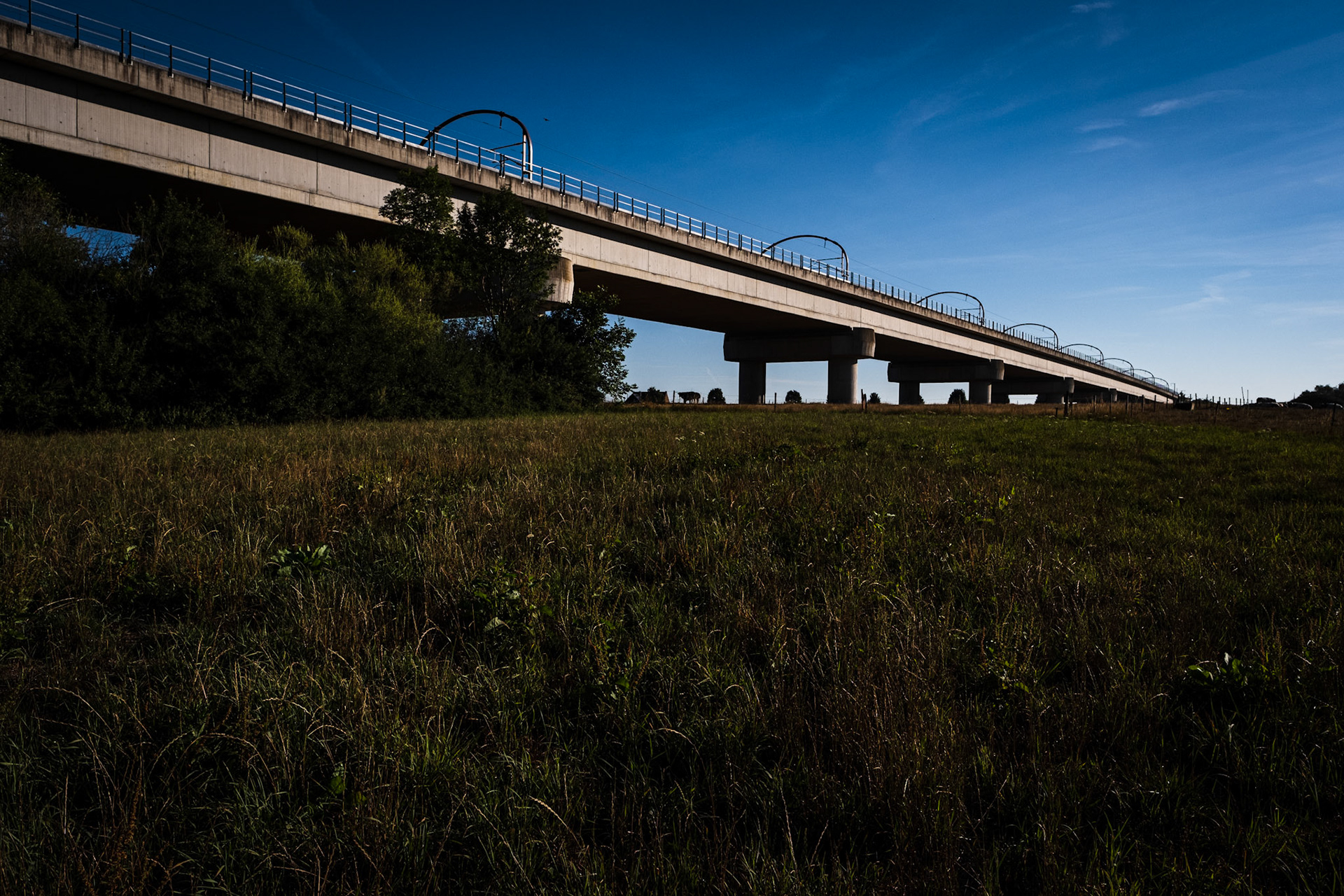 ABRE ET VIADUC TGV