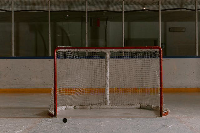 Photo by Tima Miroshnichenko: https://www.pexels.com/photo/metal-bar-with-net-on-the-ice-surface-6847387/