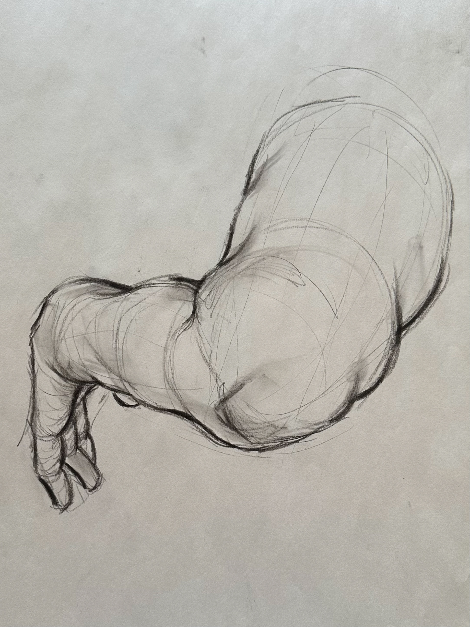 Figure Drawings - Arm Anatomy