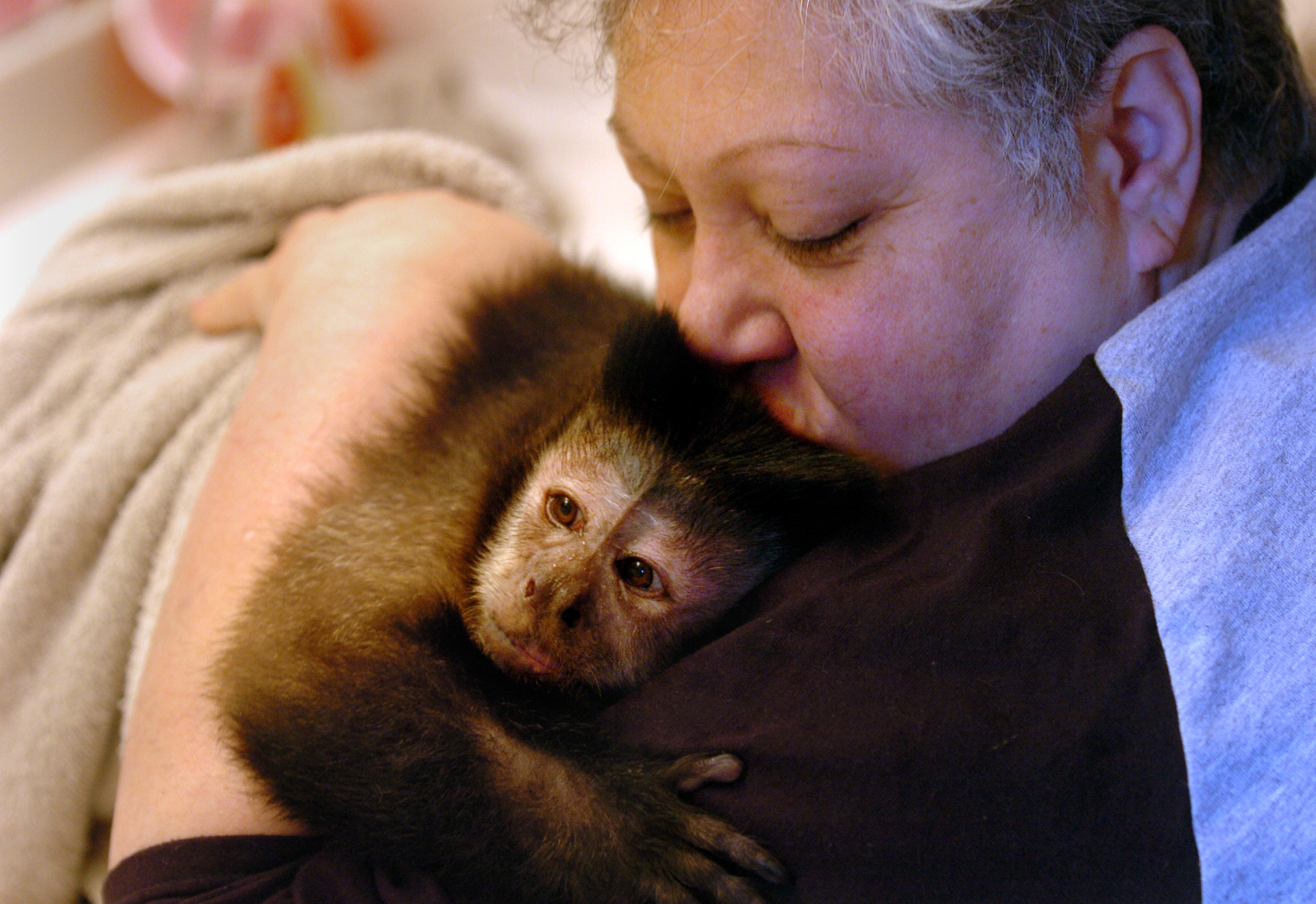 Linda Brown, a quadriplegic, gives her capuchin service monkey a hug.  The non-profit Helping Hands serves people with severe spinal cord injuries or mobility impairments by providing highly trained monkeys to assist with their daily needs.