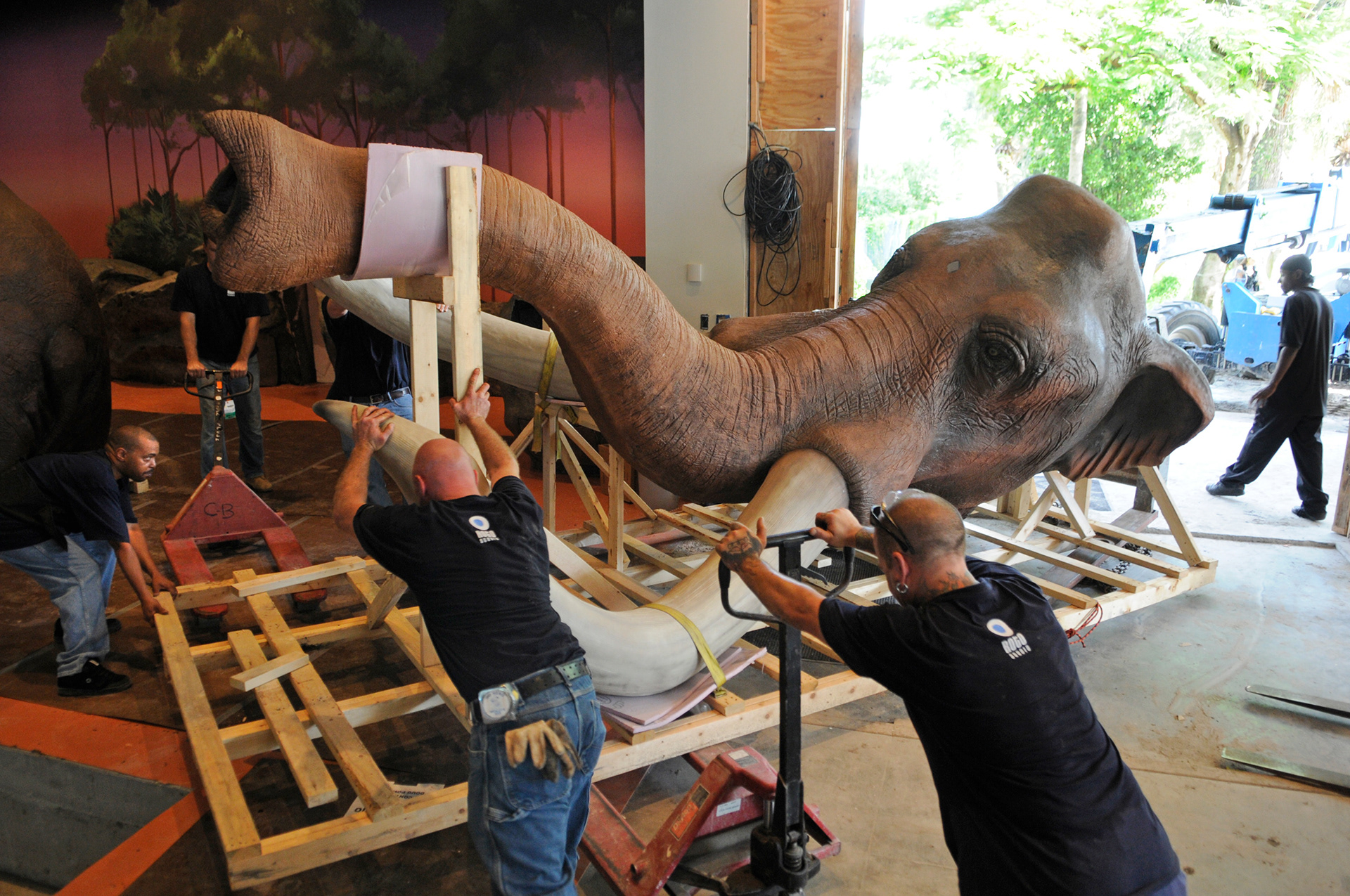 Workers deliver the head of an Imperial Mammoth replica to the Fort Lauderdale Museum of Discovery and Science for their Prehistoric Florida exhibit .