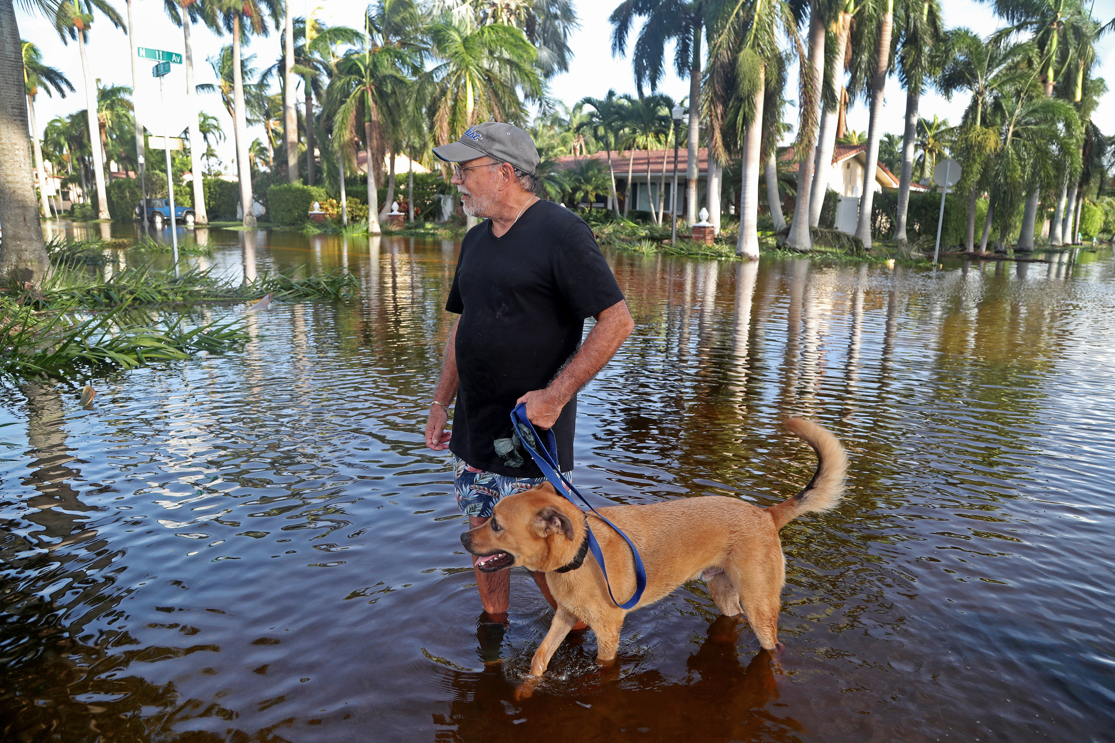A day after Hurricane Irma struck South Florida in September of 2017,  Andrew Perini walks his neighbor's dog in Hollywood, Fl.