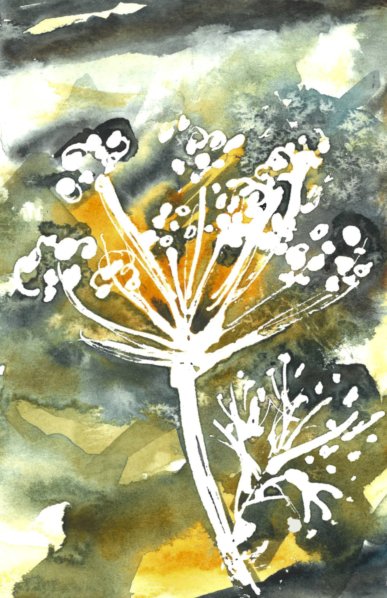 yarrow watercolor painting