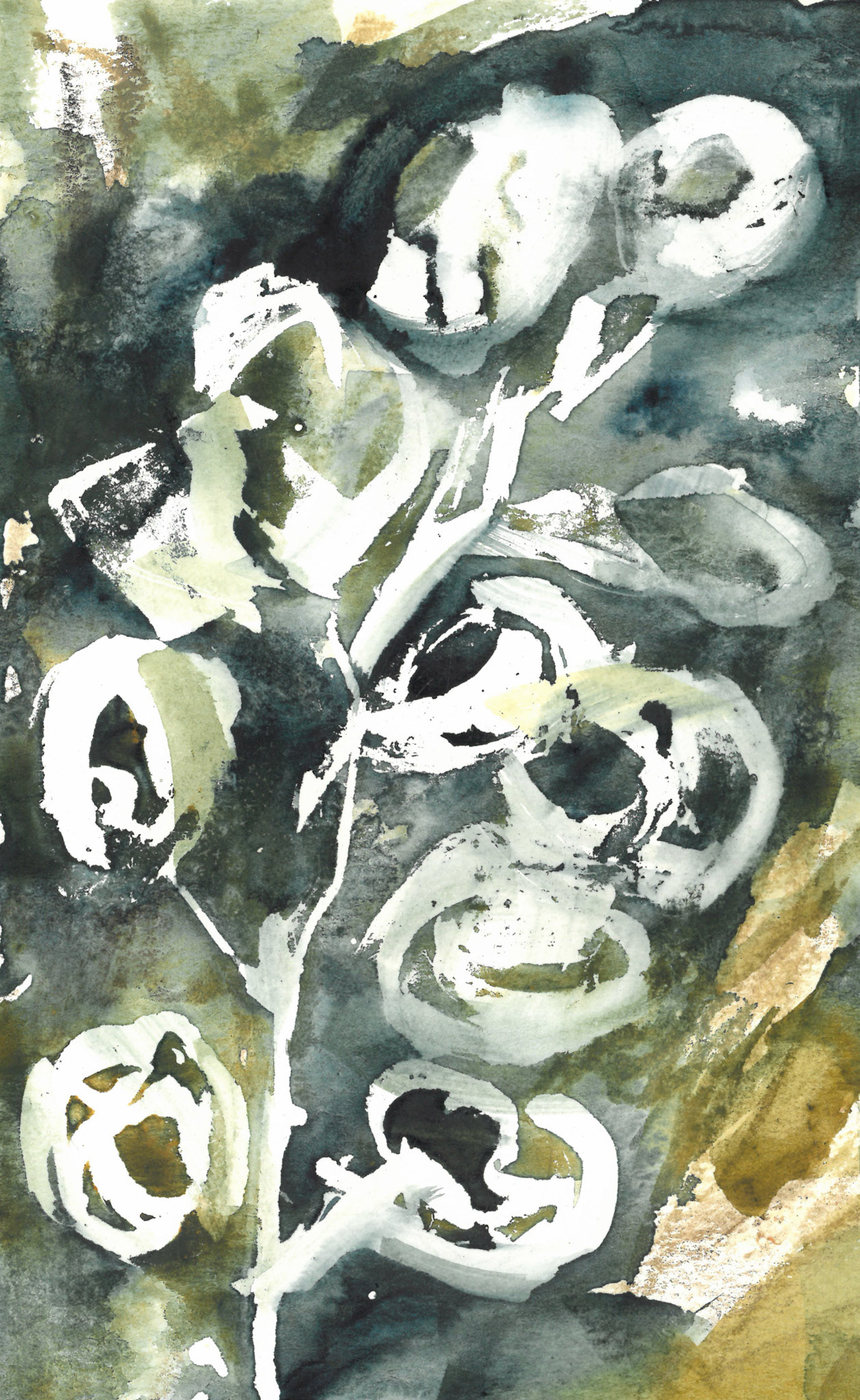 olive leaves watercolor painting