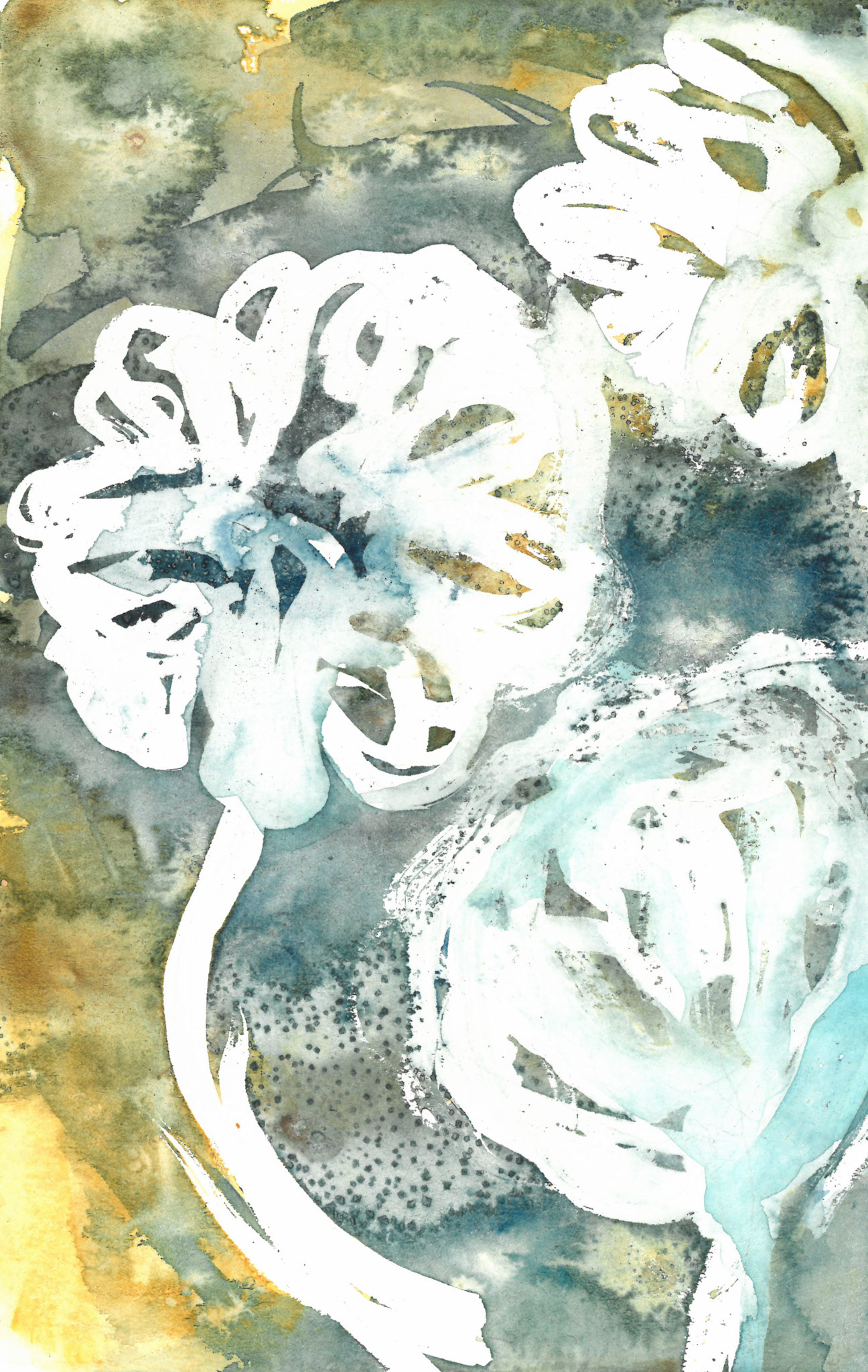 Peony iv. watercolor painting