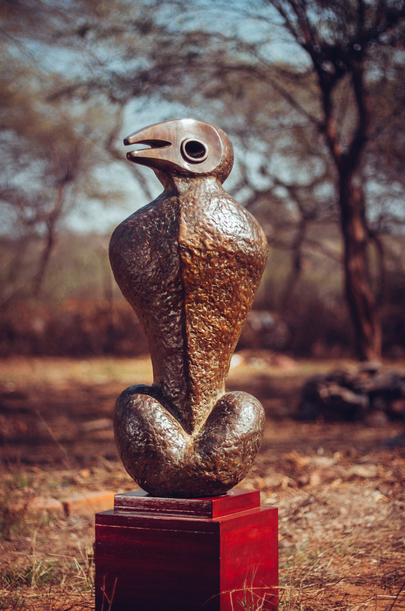 Human Bird